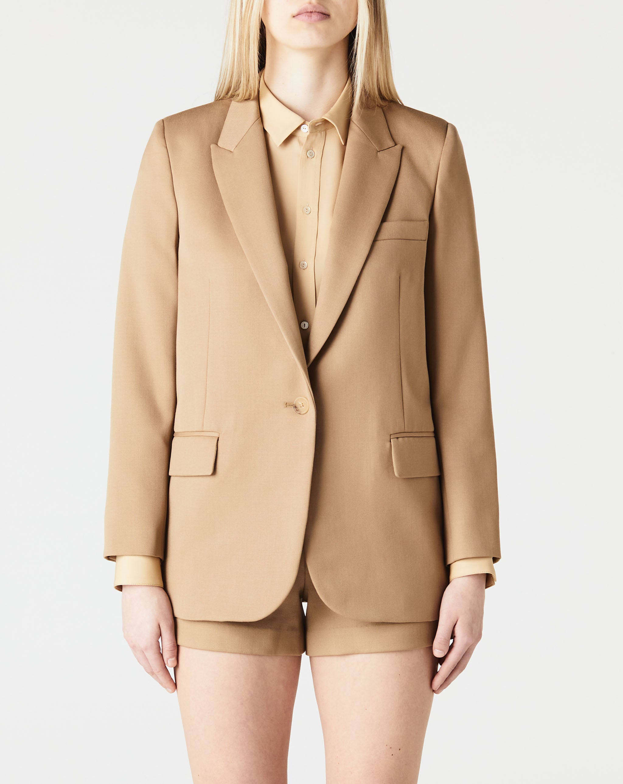Diane Blazer
