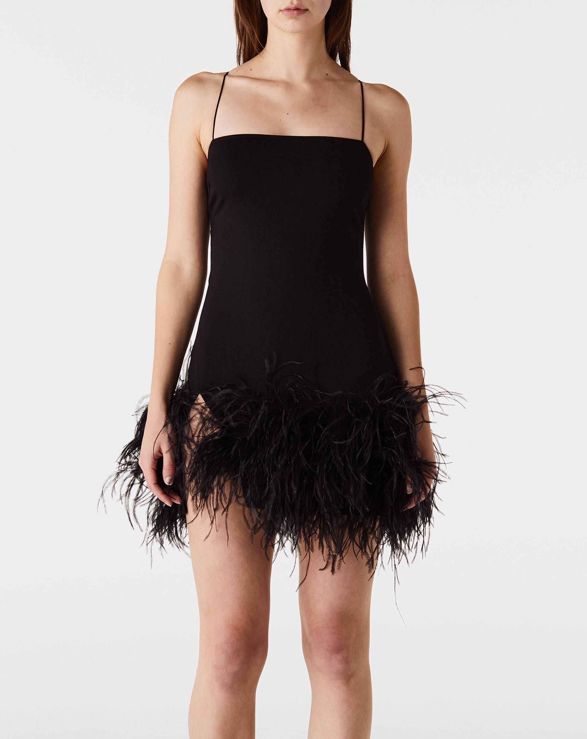 Fujiko Mini Dress