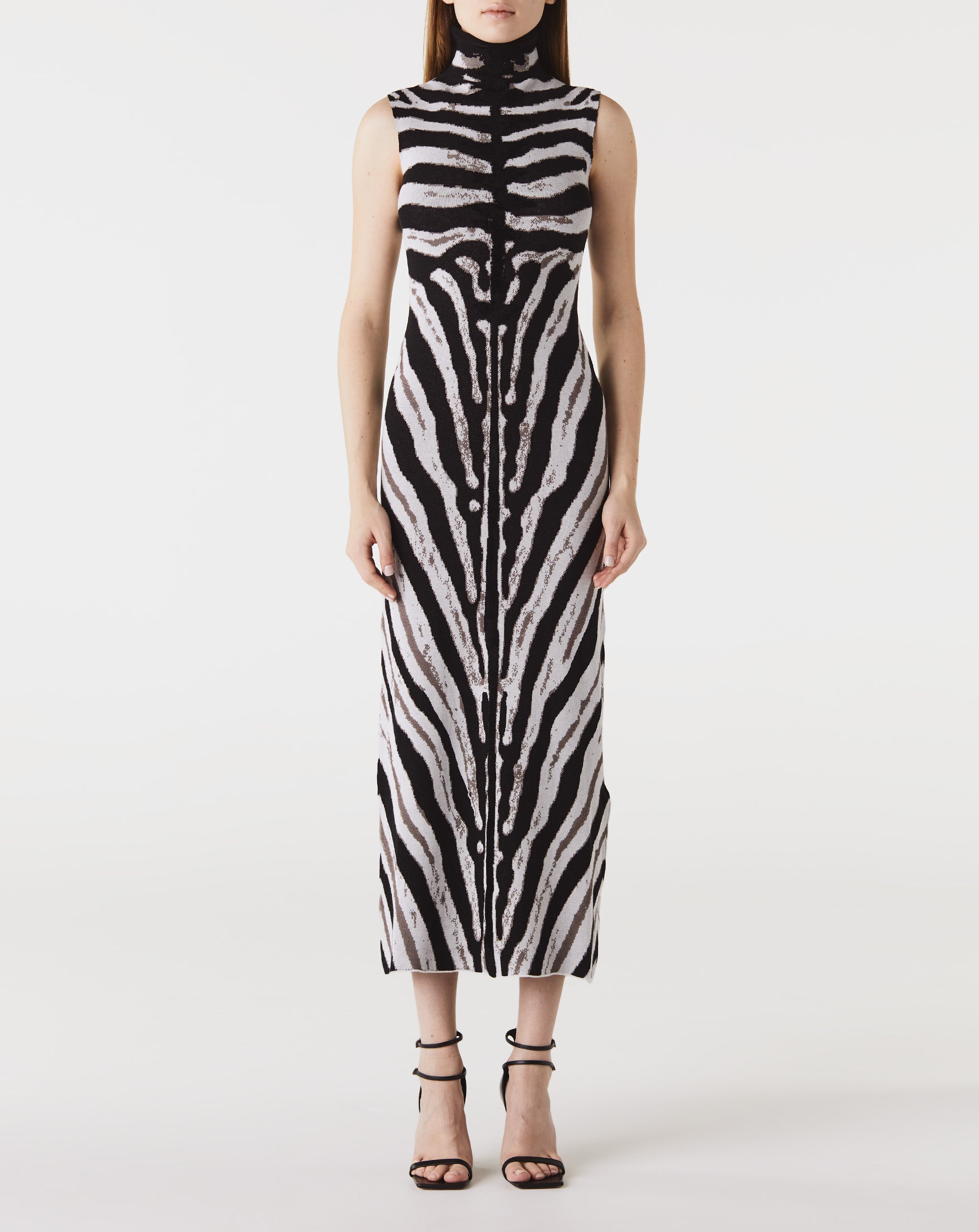 S/L Zebra Dress