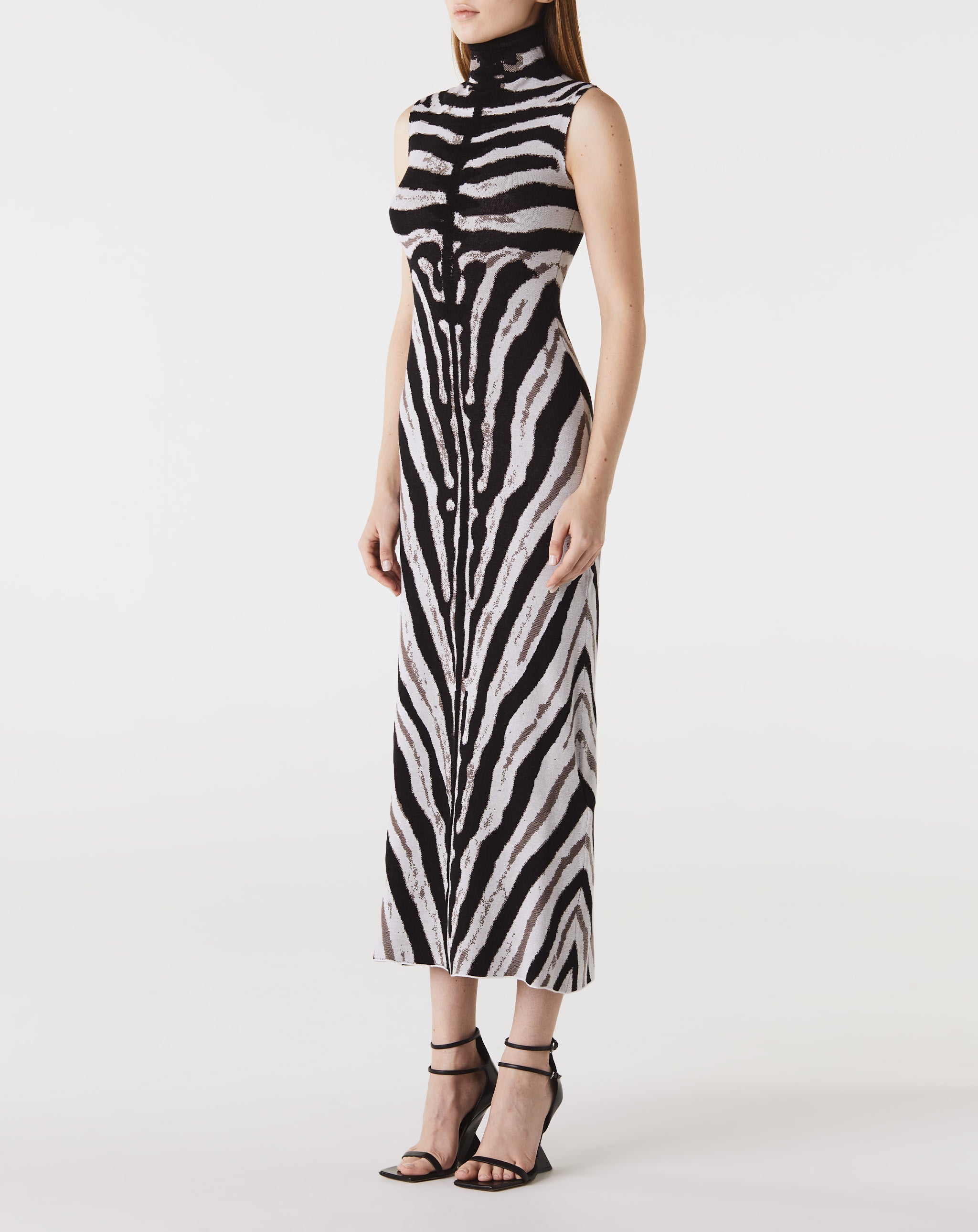 S/L Zebra Dress