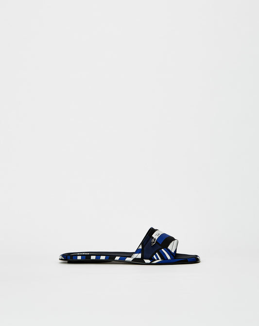 Slides