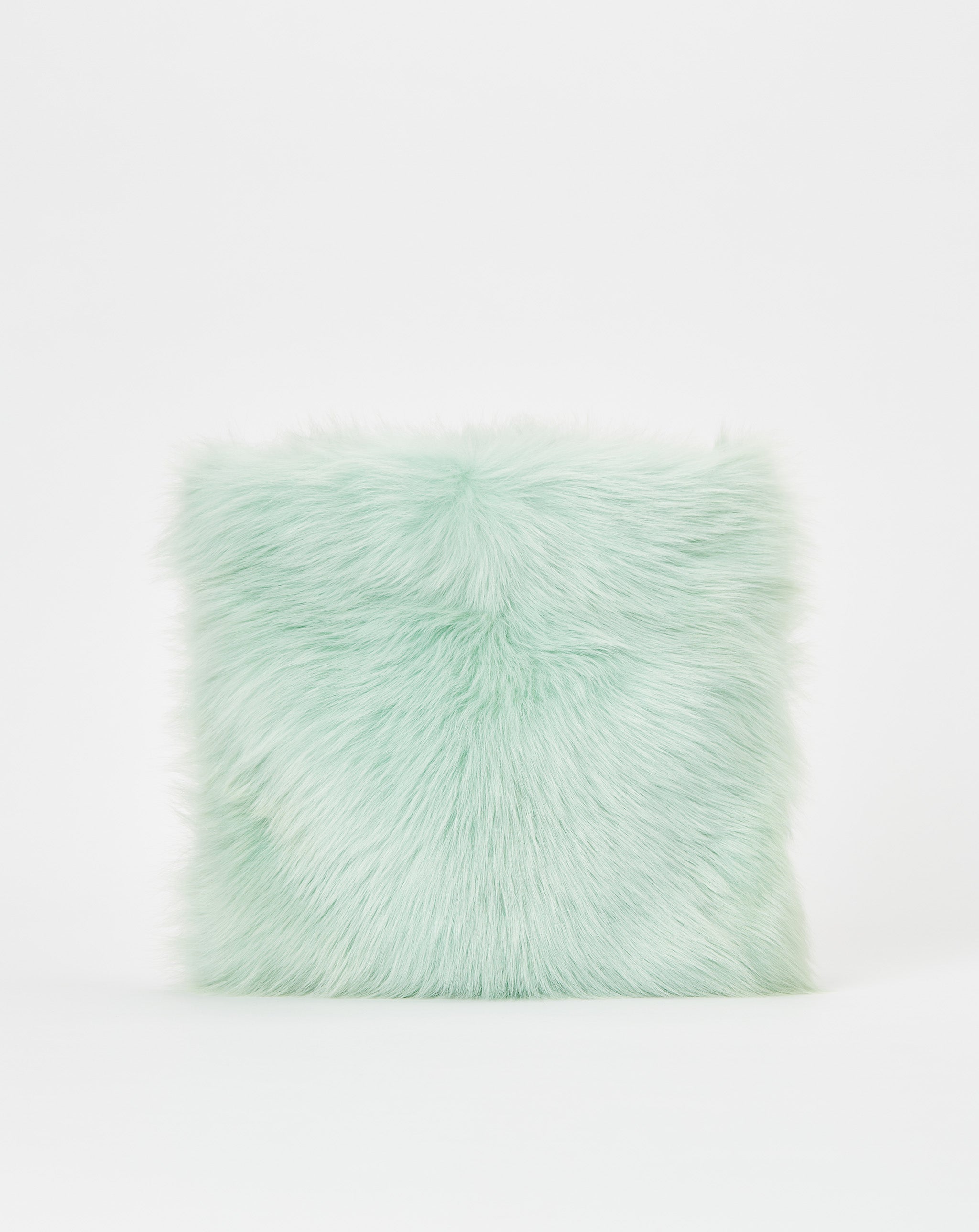 Pillow Pouch