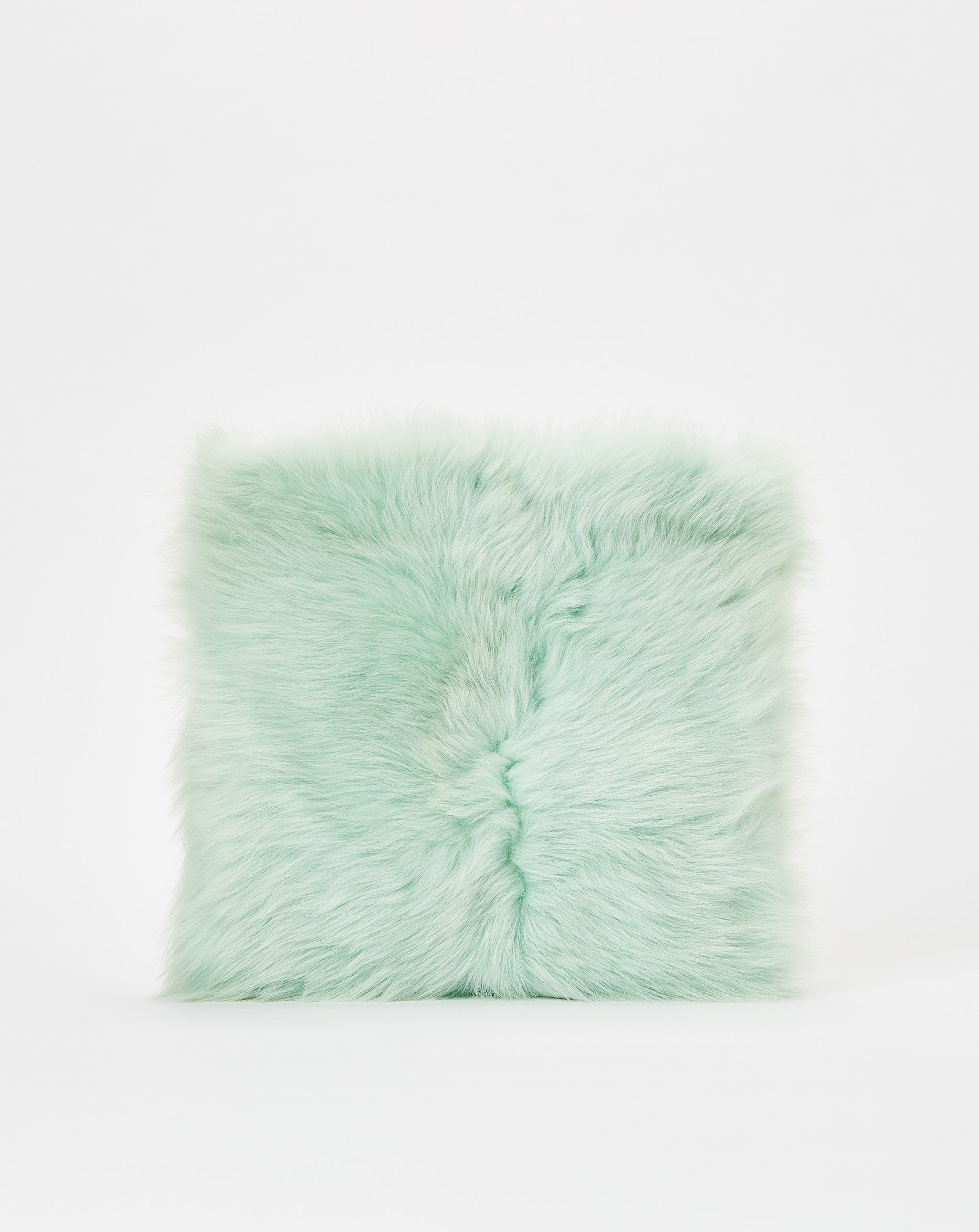 Pillow Pouch