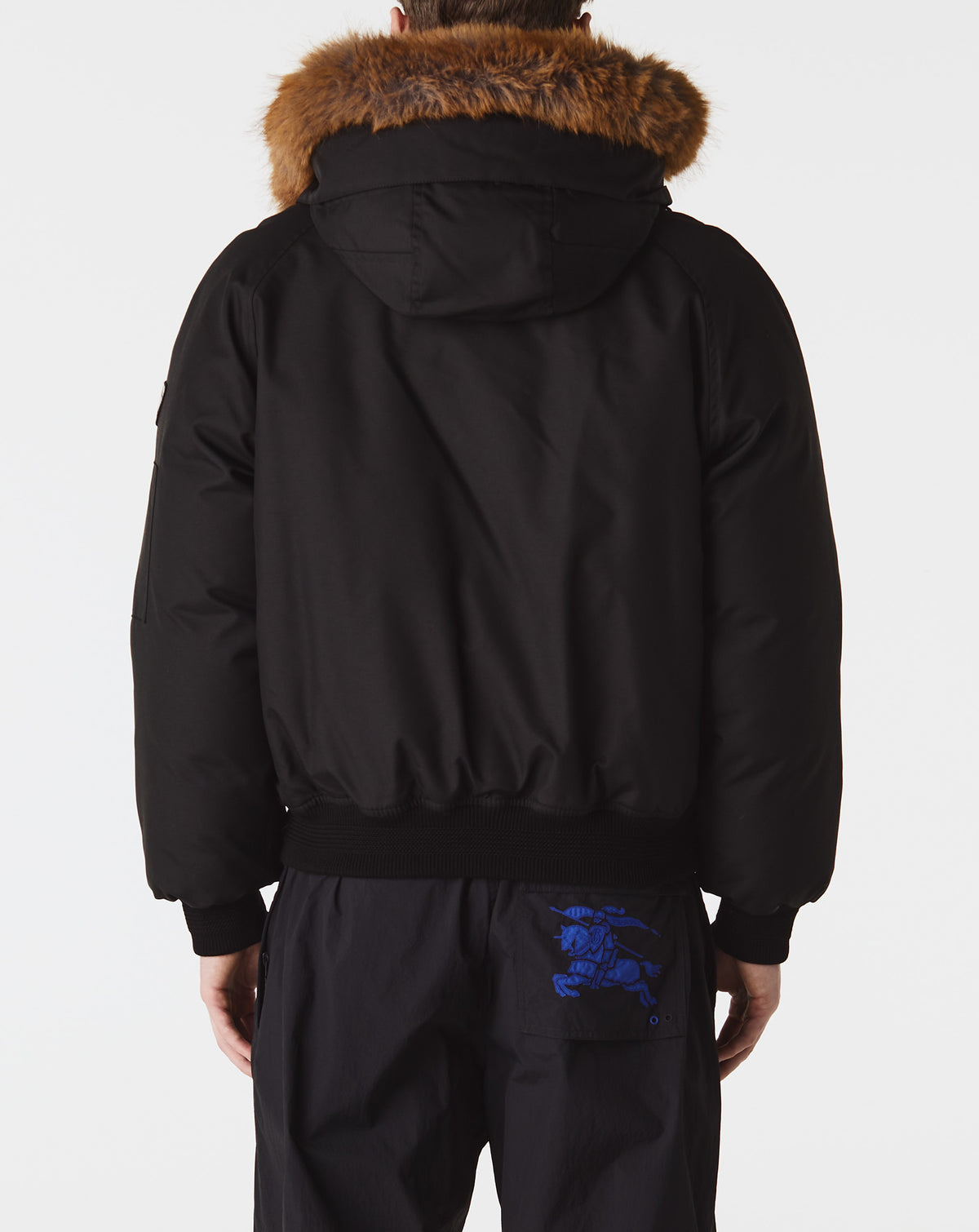 Hooded Bomber