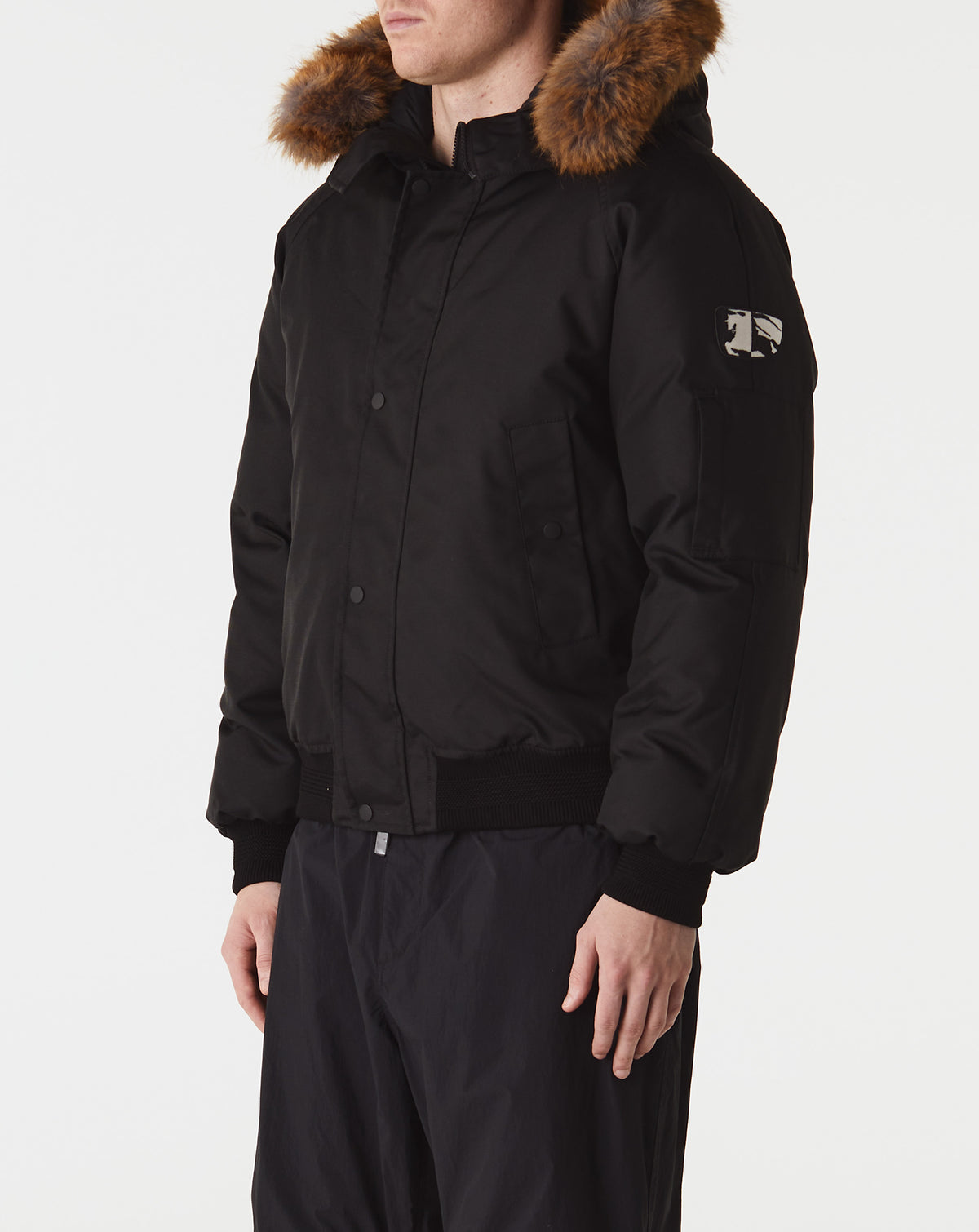 Hooded Bomber