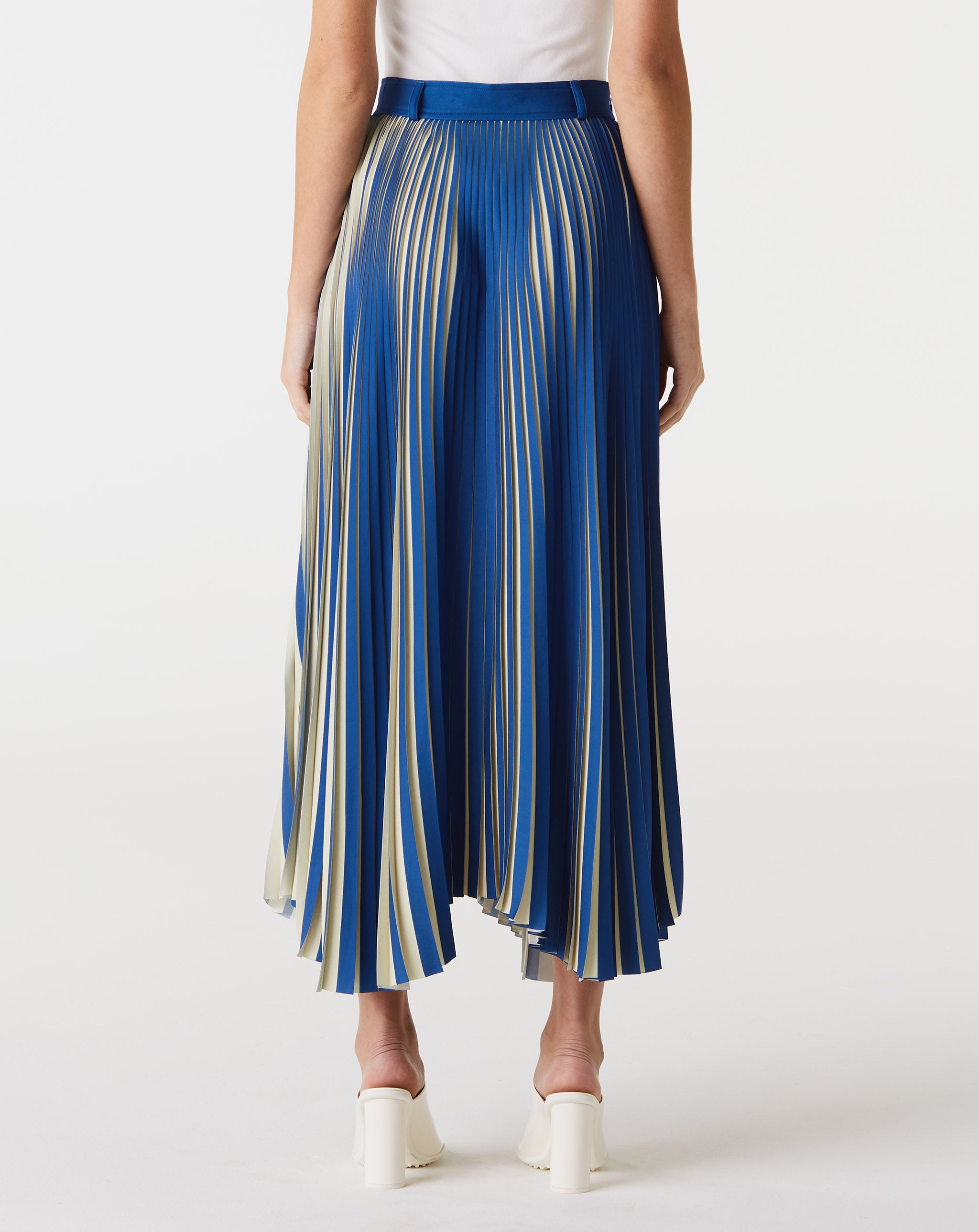 Pleated Skirt