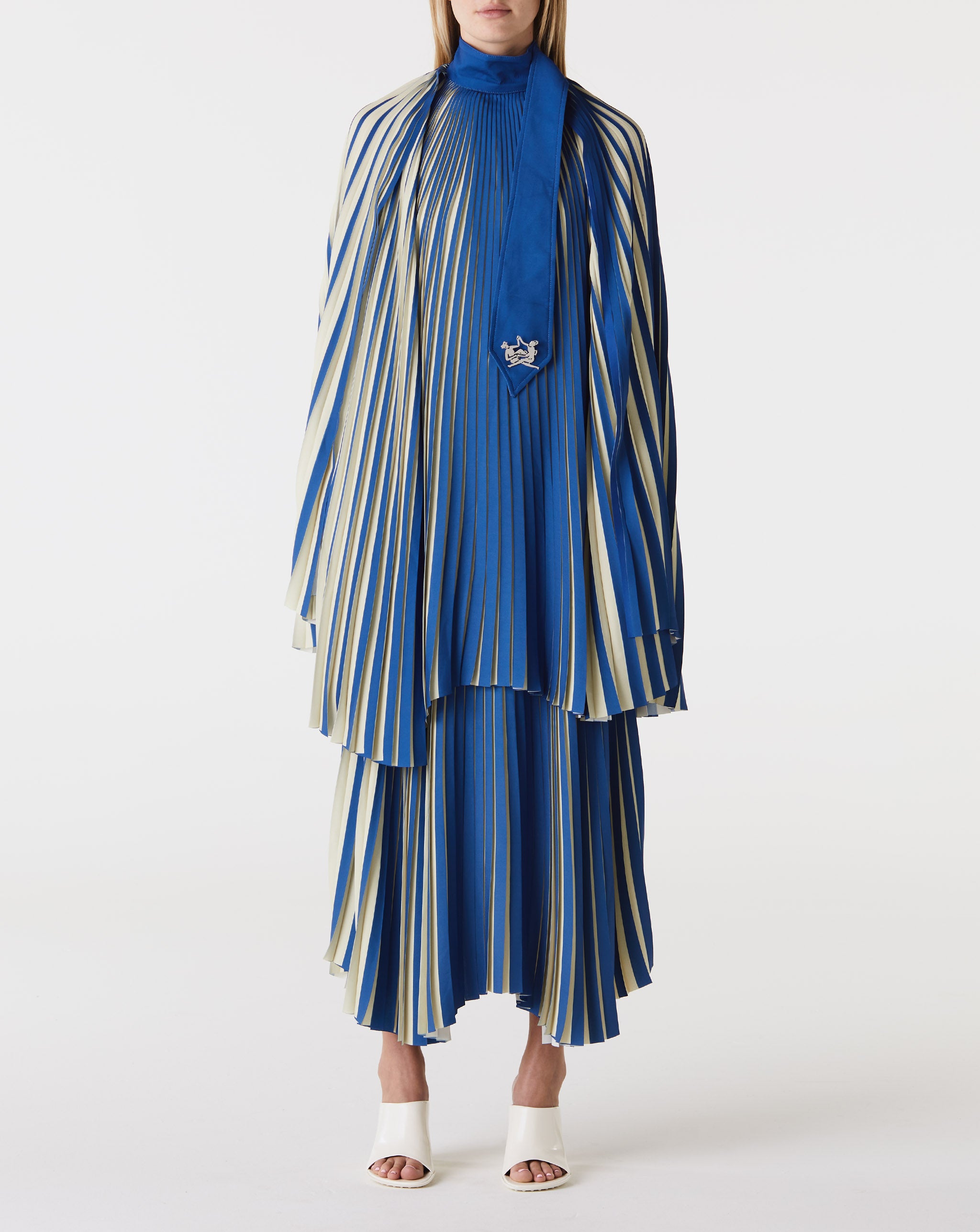 Pleated Cape
