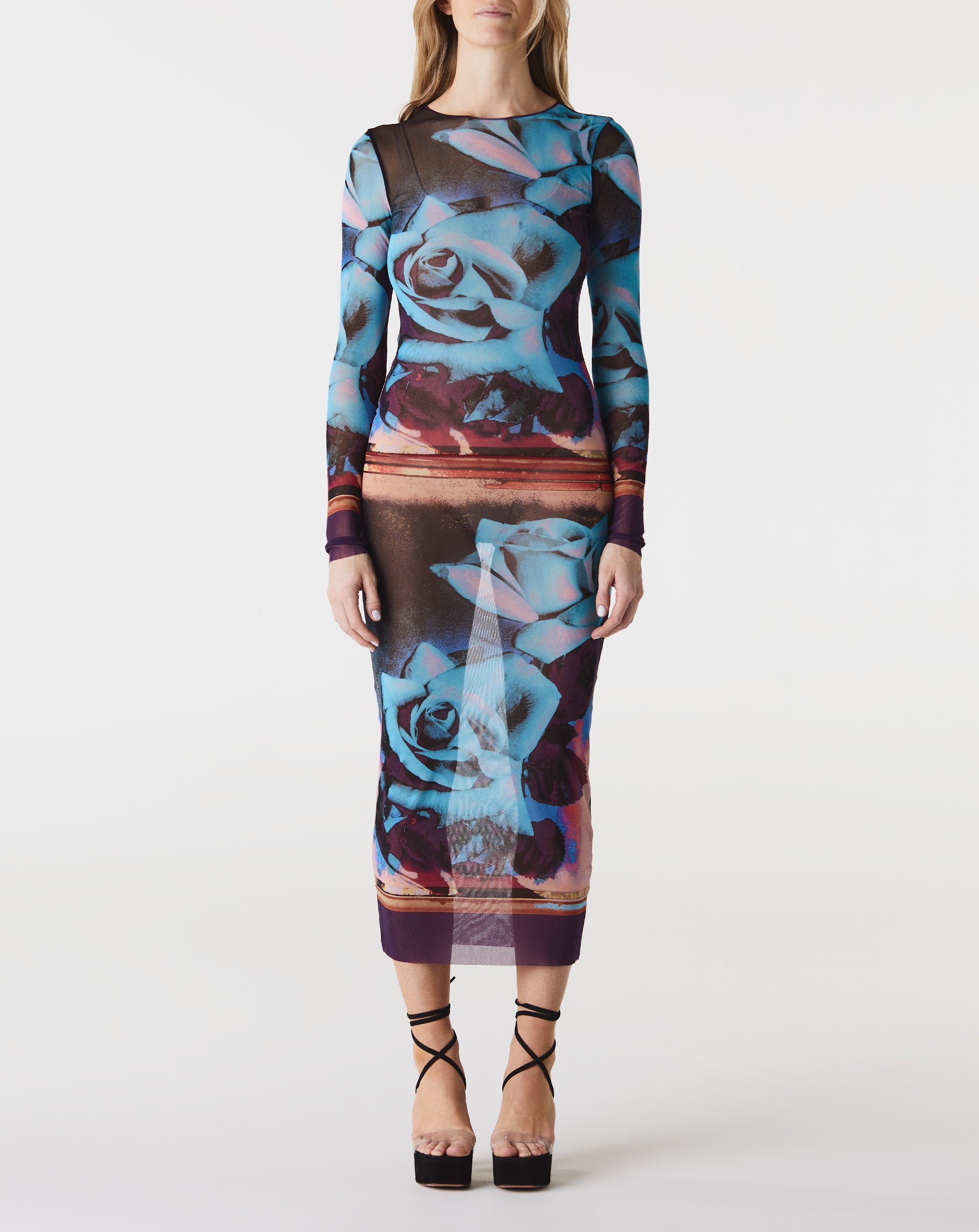 Mesh L/S "Roses" Dress