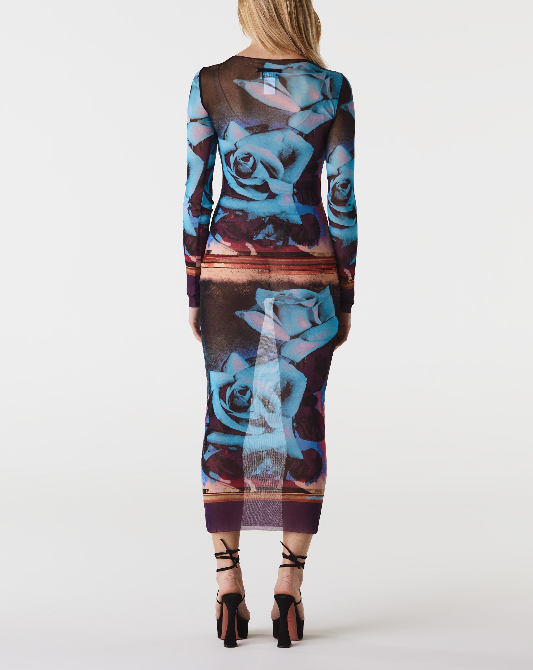 Mesh L/S "Roses" Dress