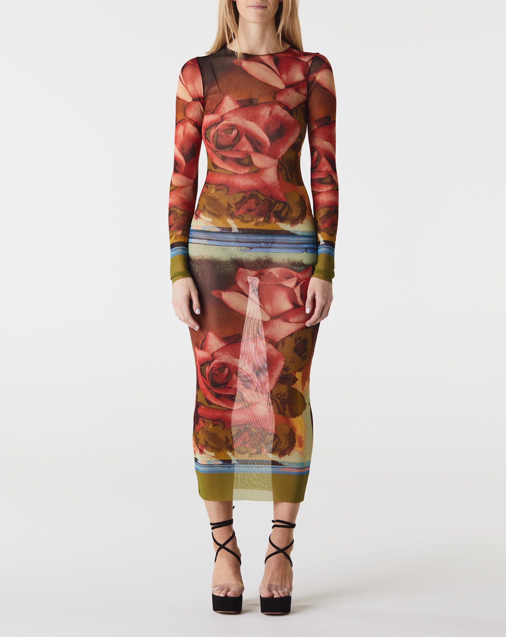 Mesh L/S "Roses" Dress