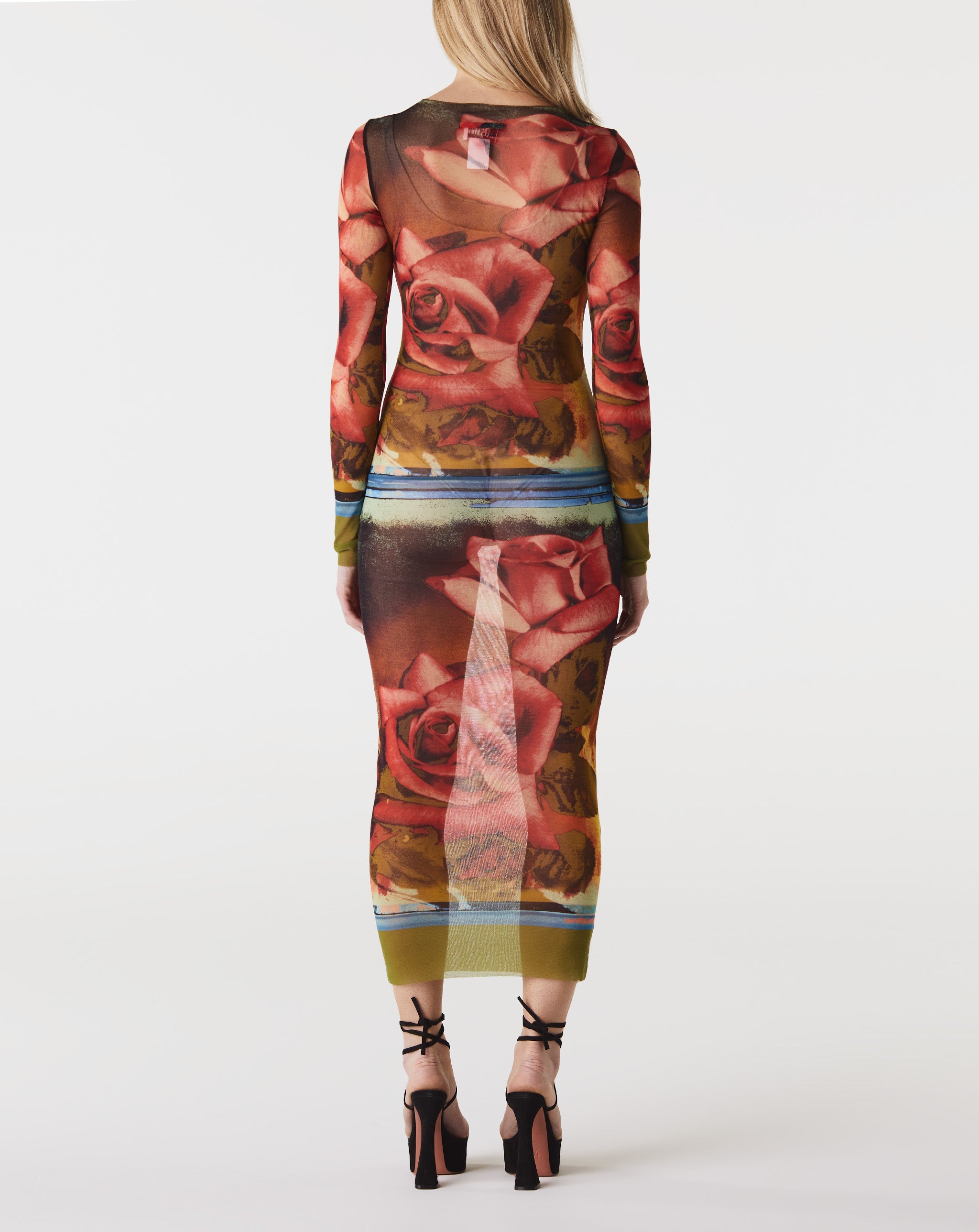 Mesh L/S "Roses" Dress