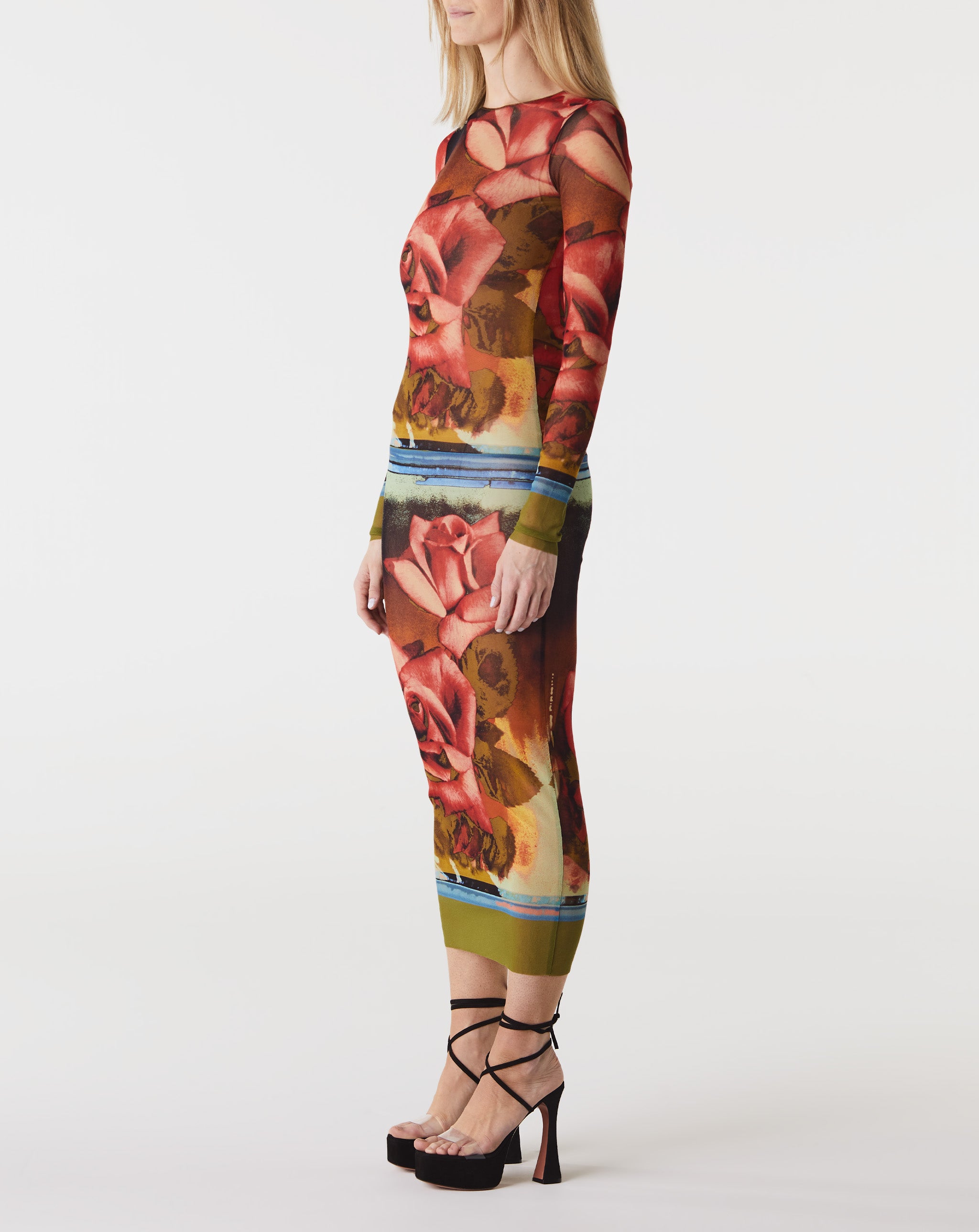 Mesh L/S "Roses" Dress