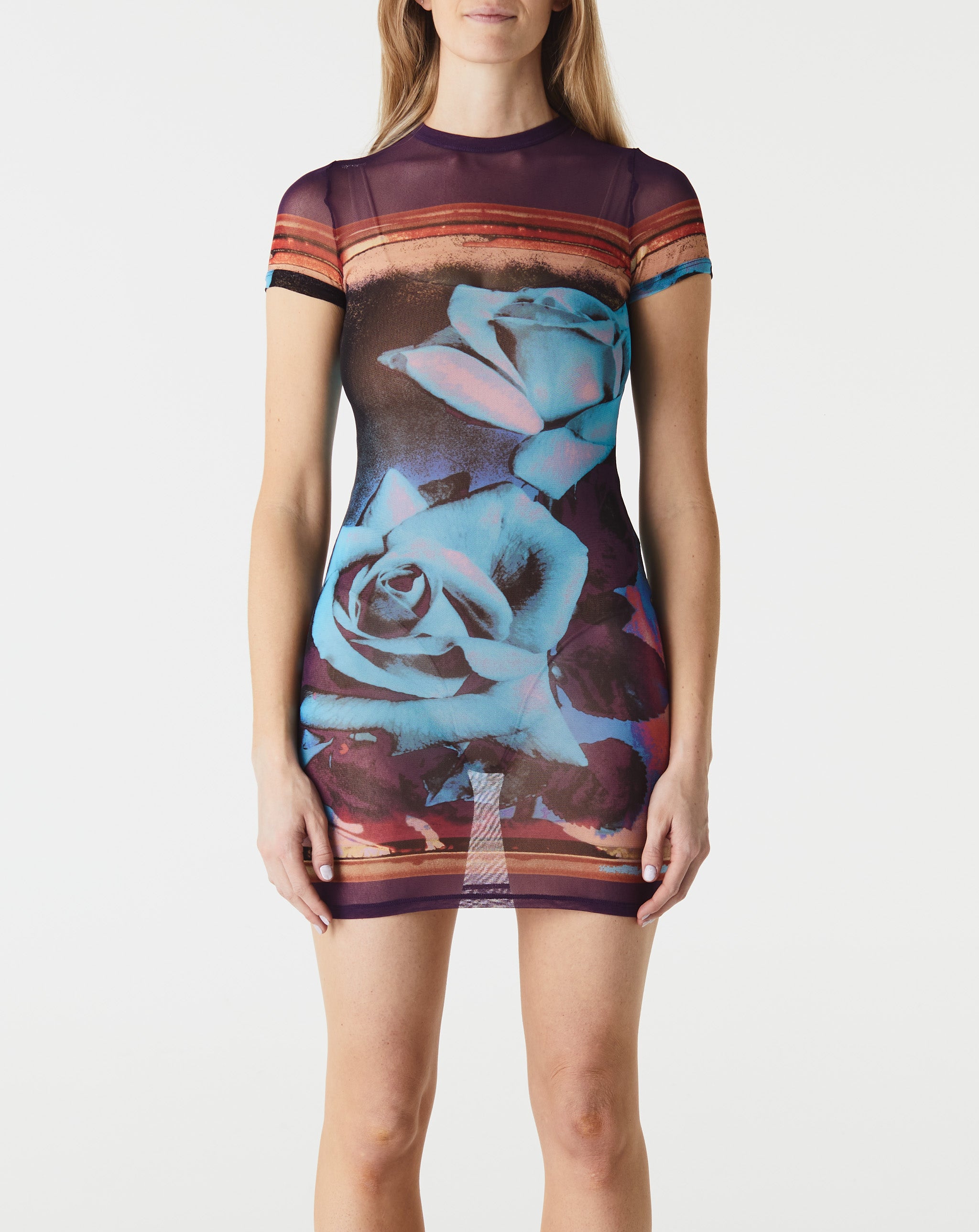 Mesh S/S "Roses" Dress
