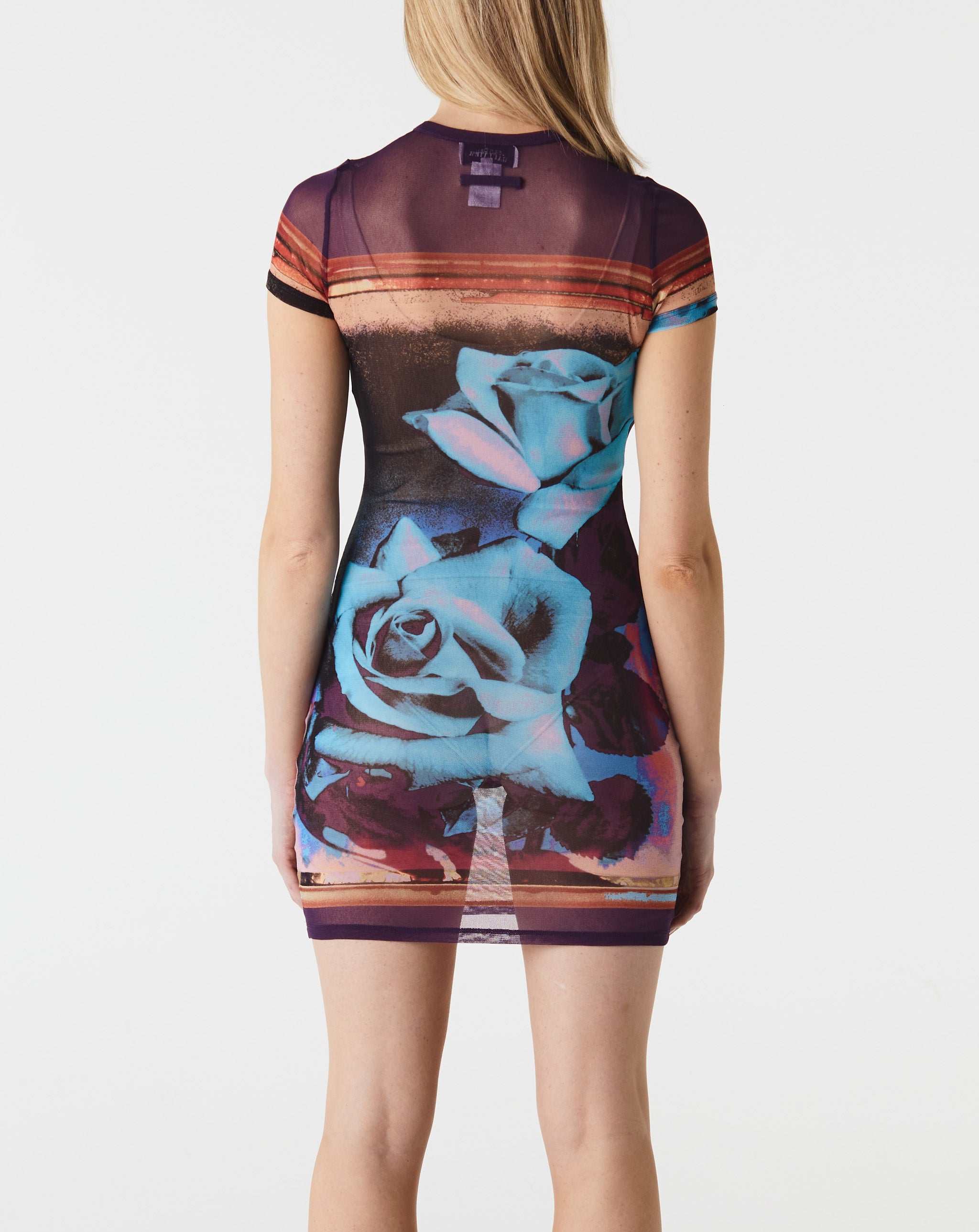 Mesh S/S "Roses" Dress