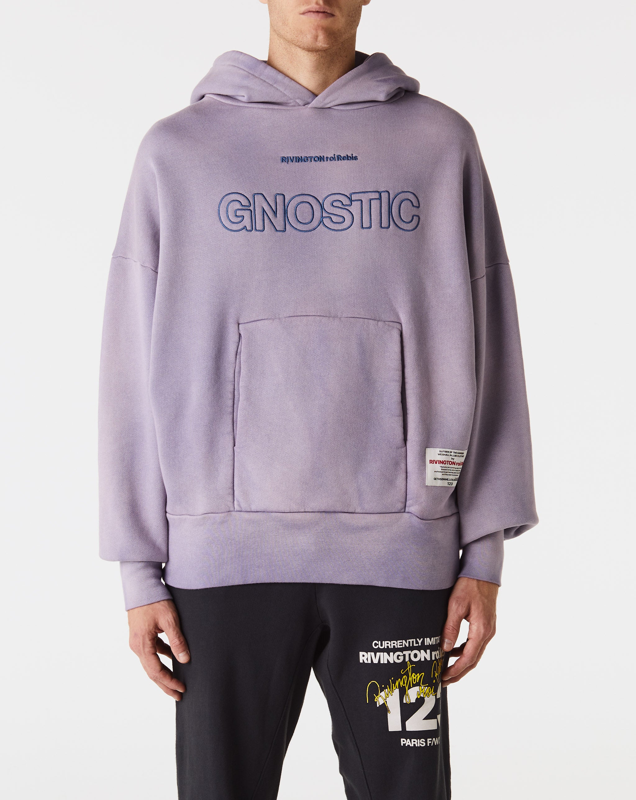 Gnostic Hoodie