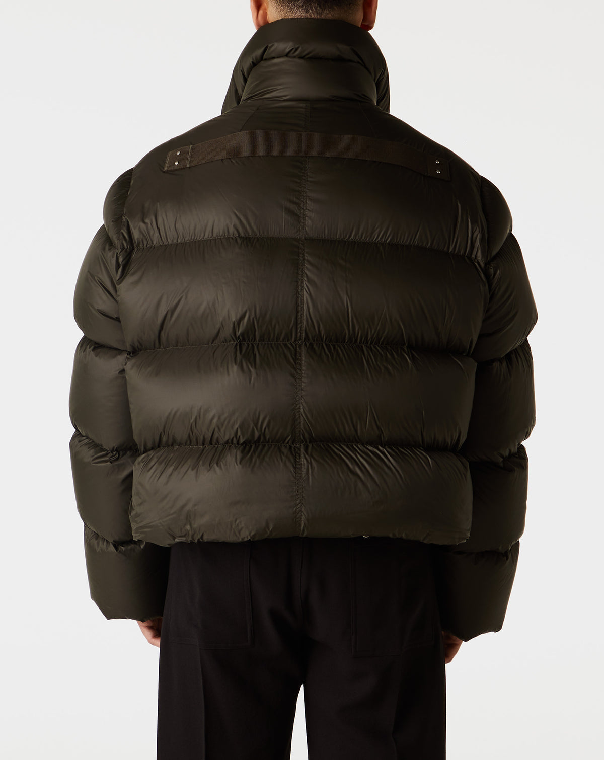 Turtle Jacket