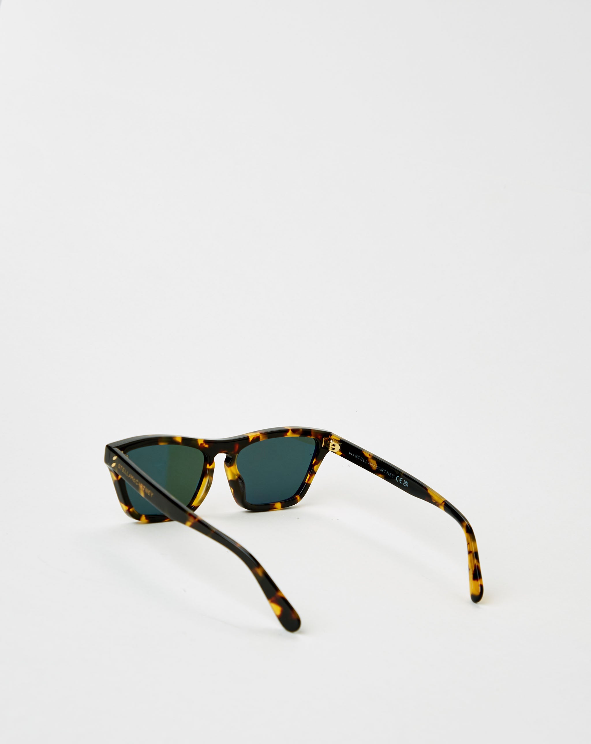 Plastic Sunglasses