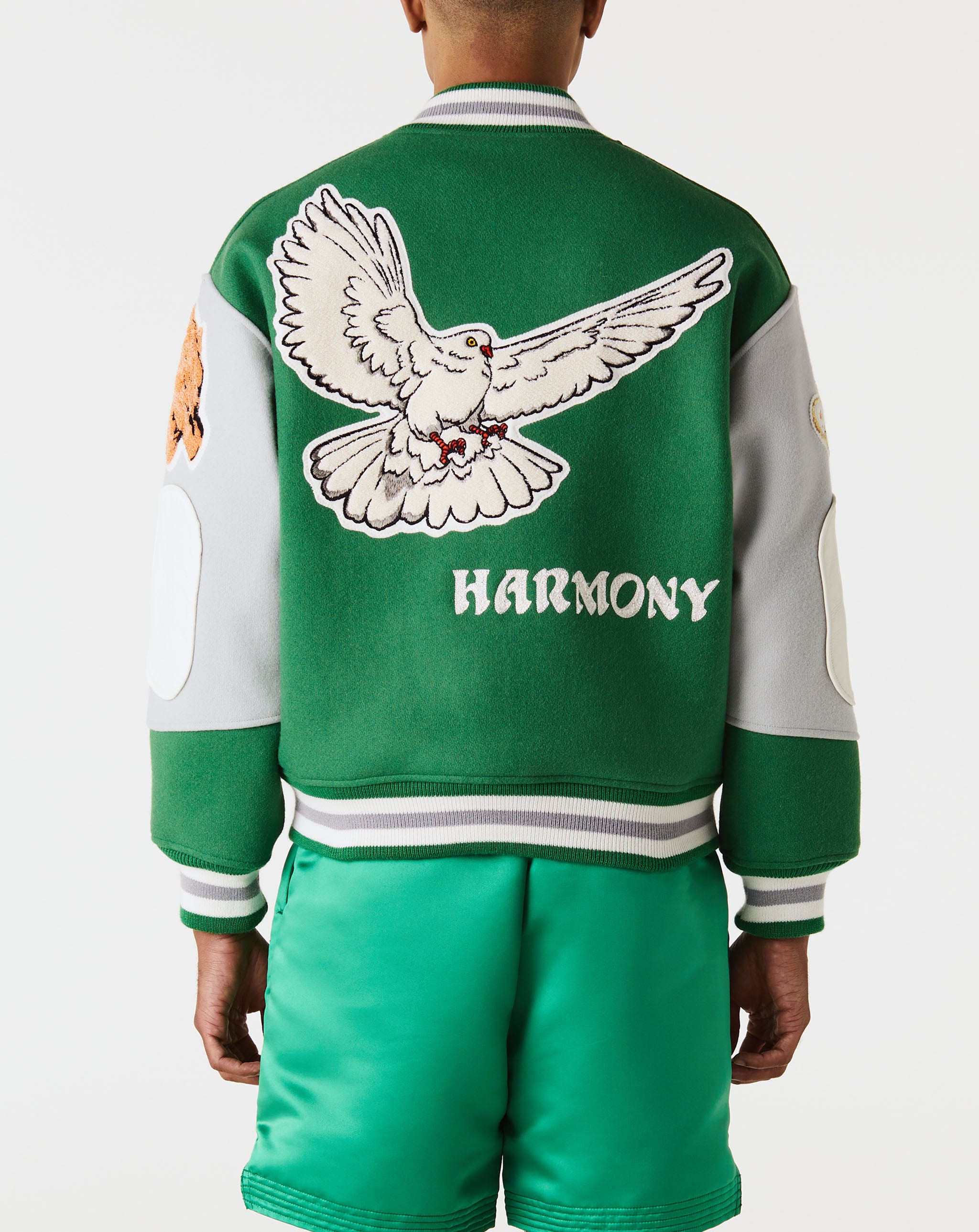 Pigeon Varsity Jacket