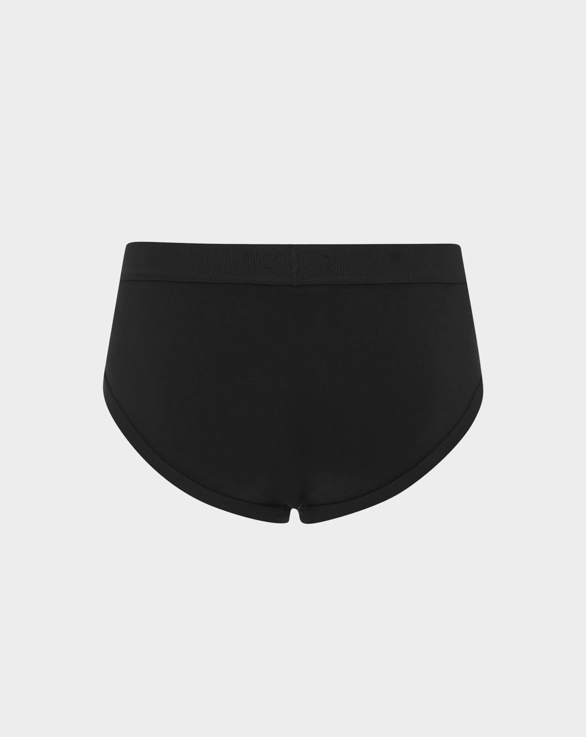 Briefs