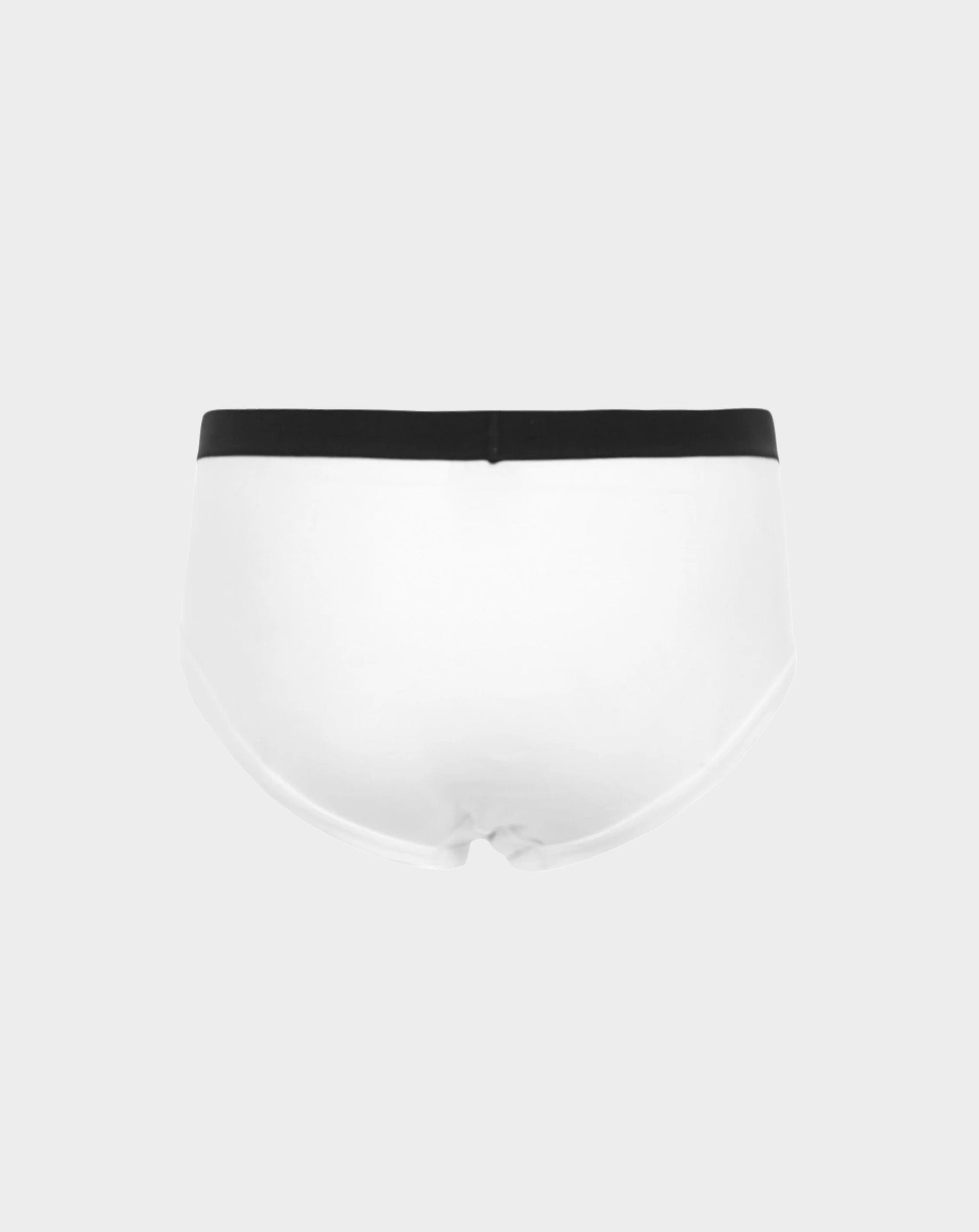 Briefs