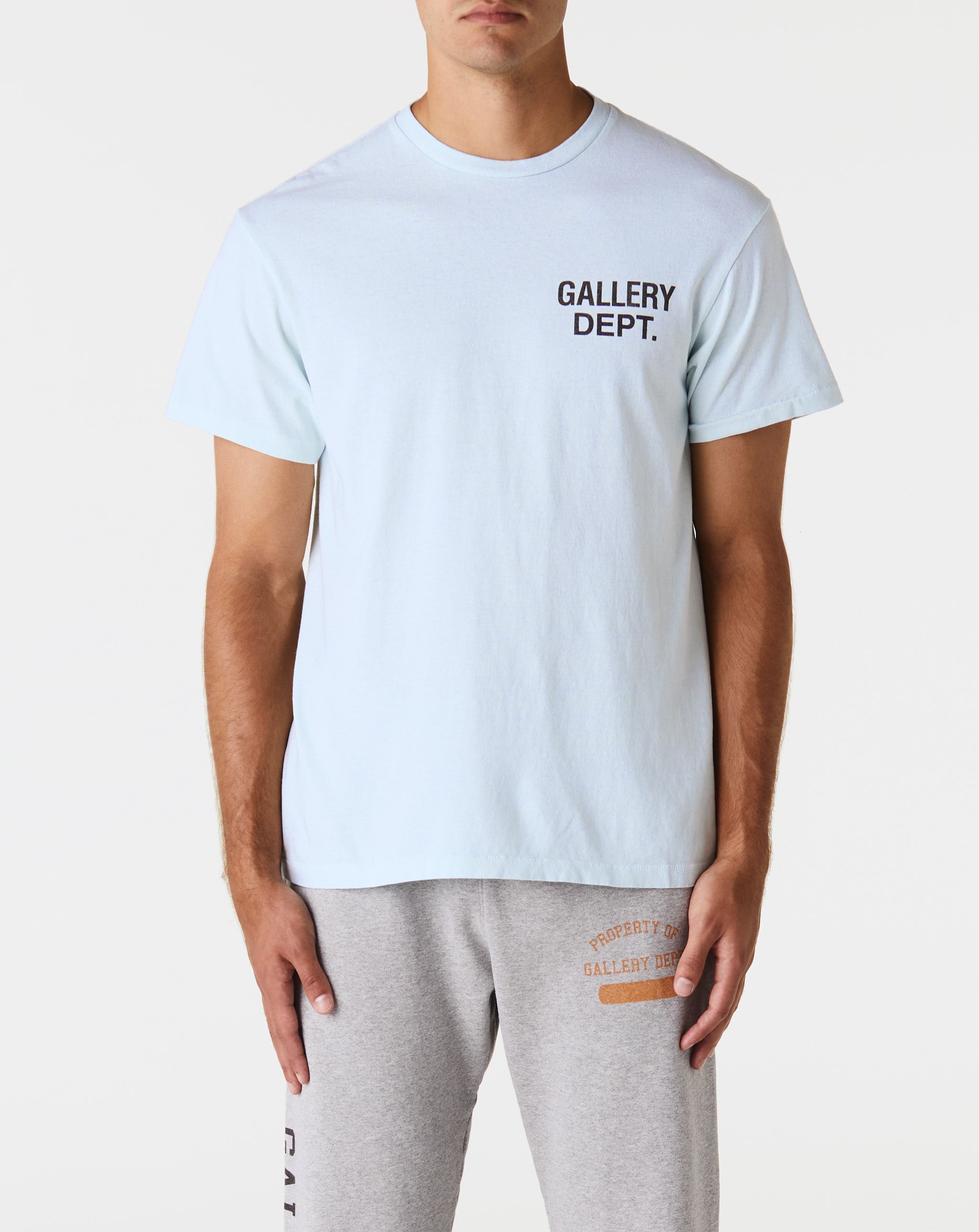 Souvenir T-Shirt