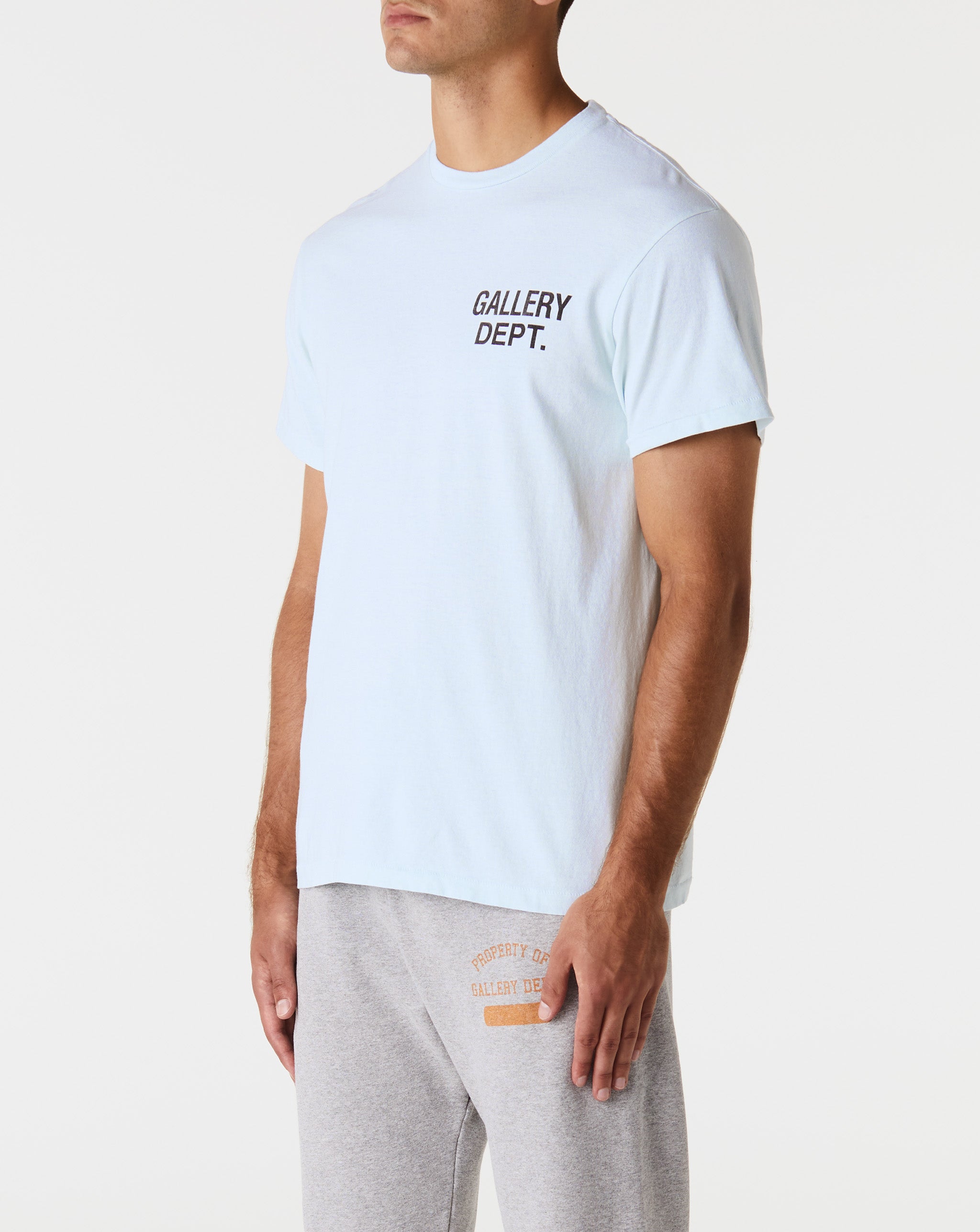 Souvenir T-Shirt