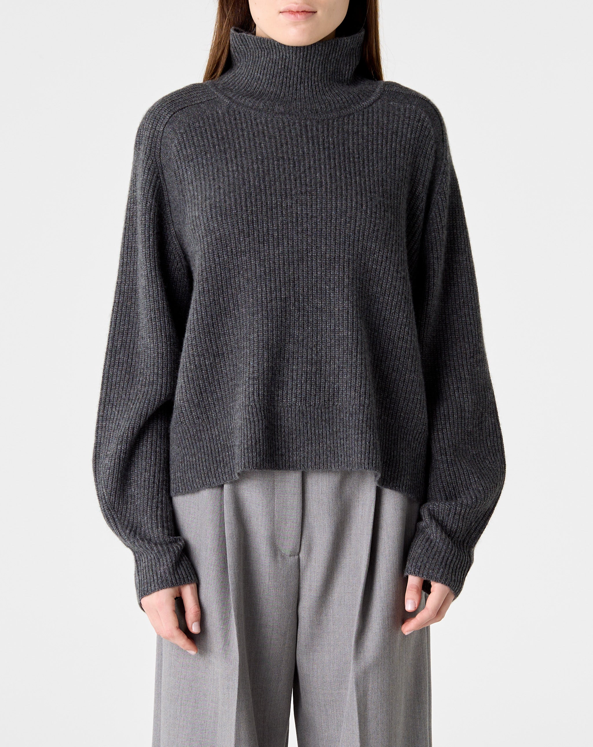 Cropped Rib Turtleneck