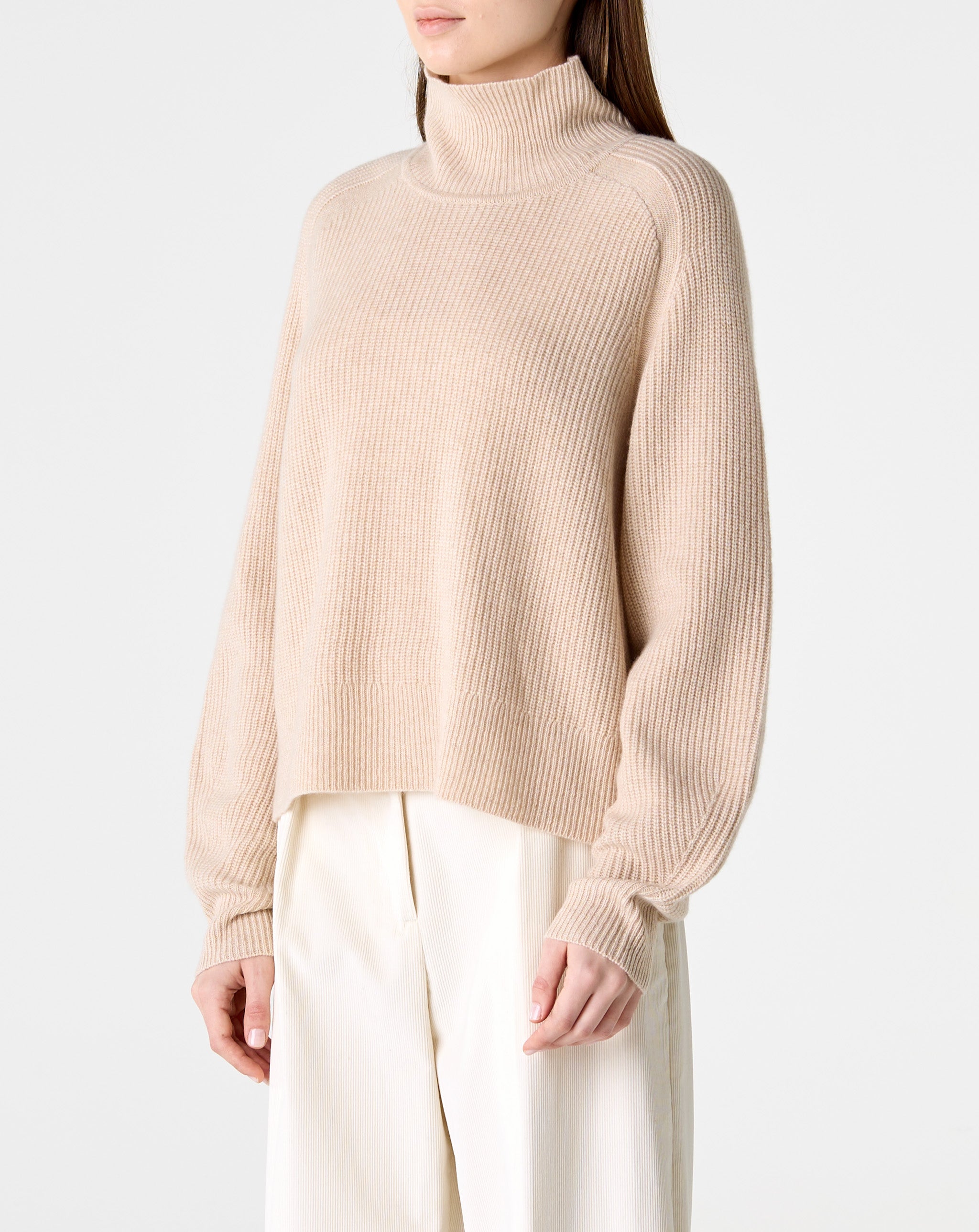 Cropped Rib Turtleneck