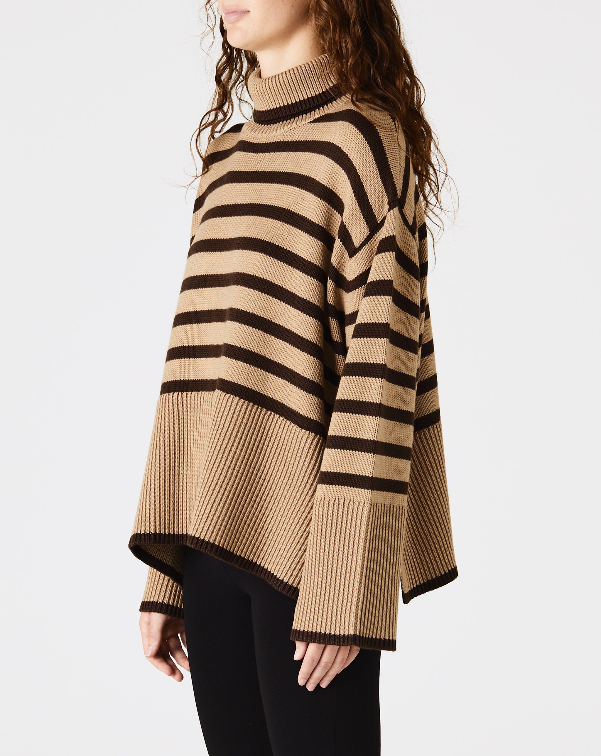 Signature Stripe Turtleneck