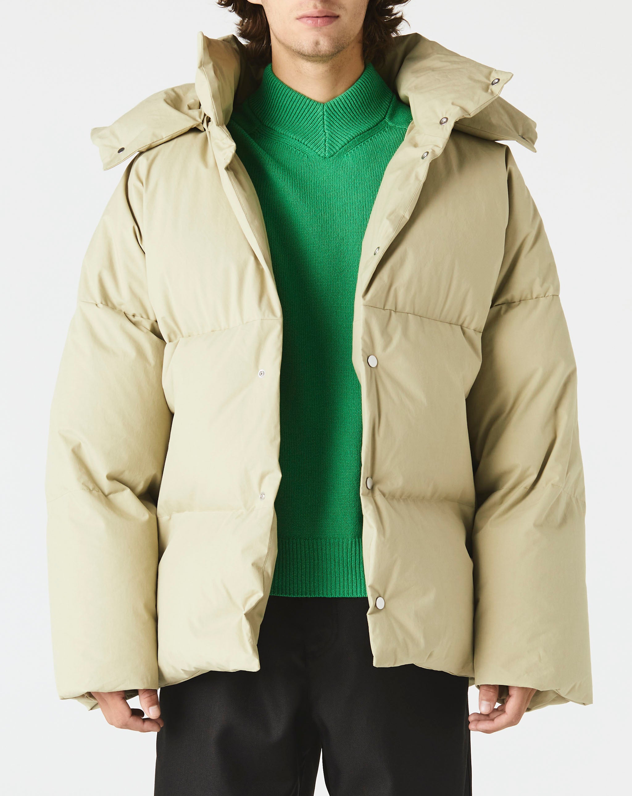 Short Puffer