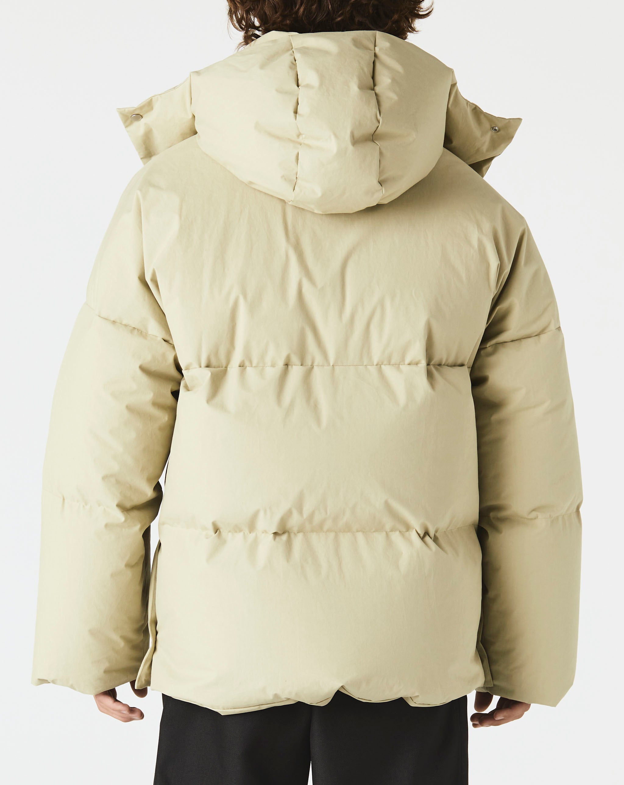 Short Puffer