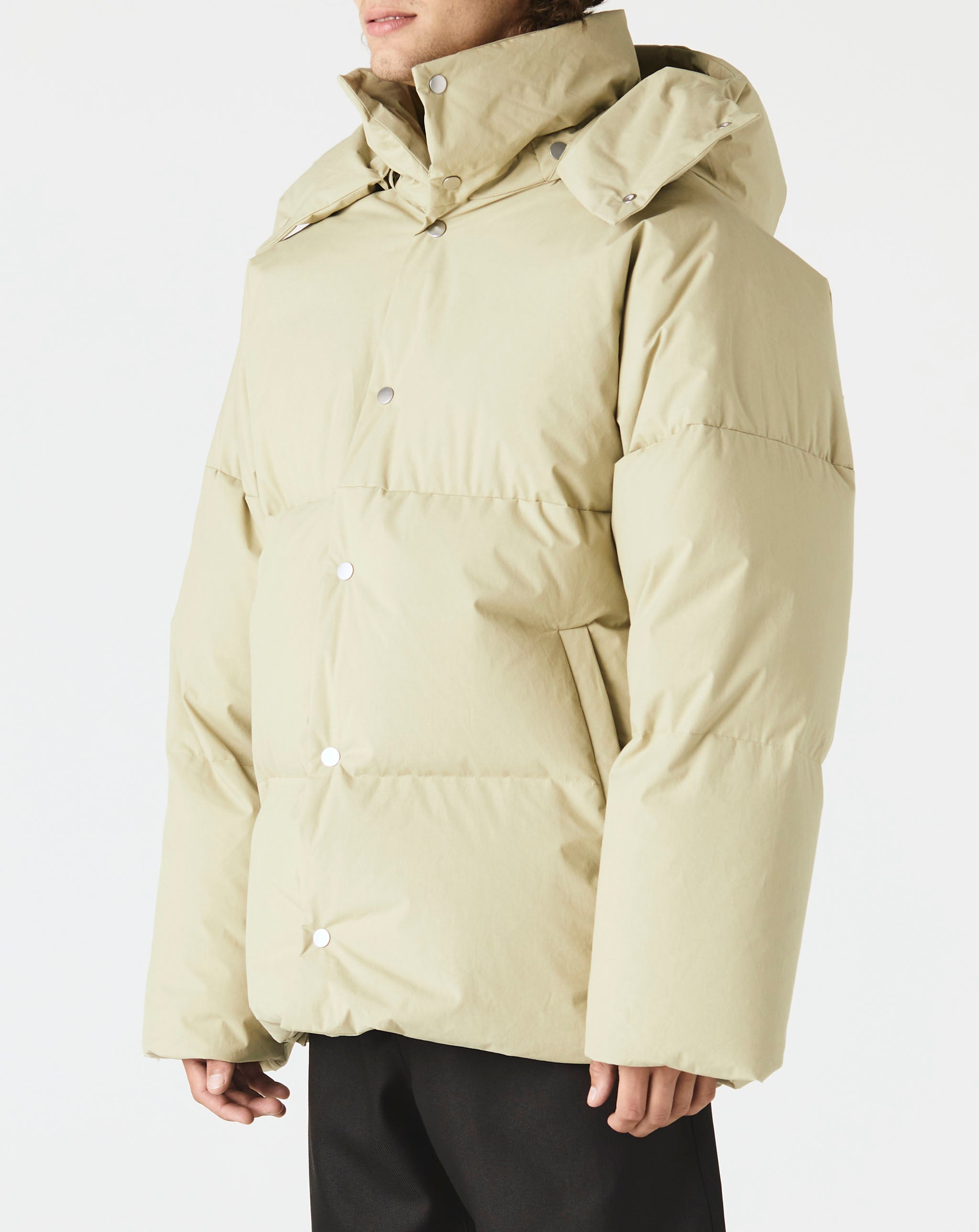 Short Puffer