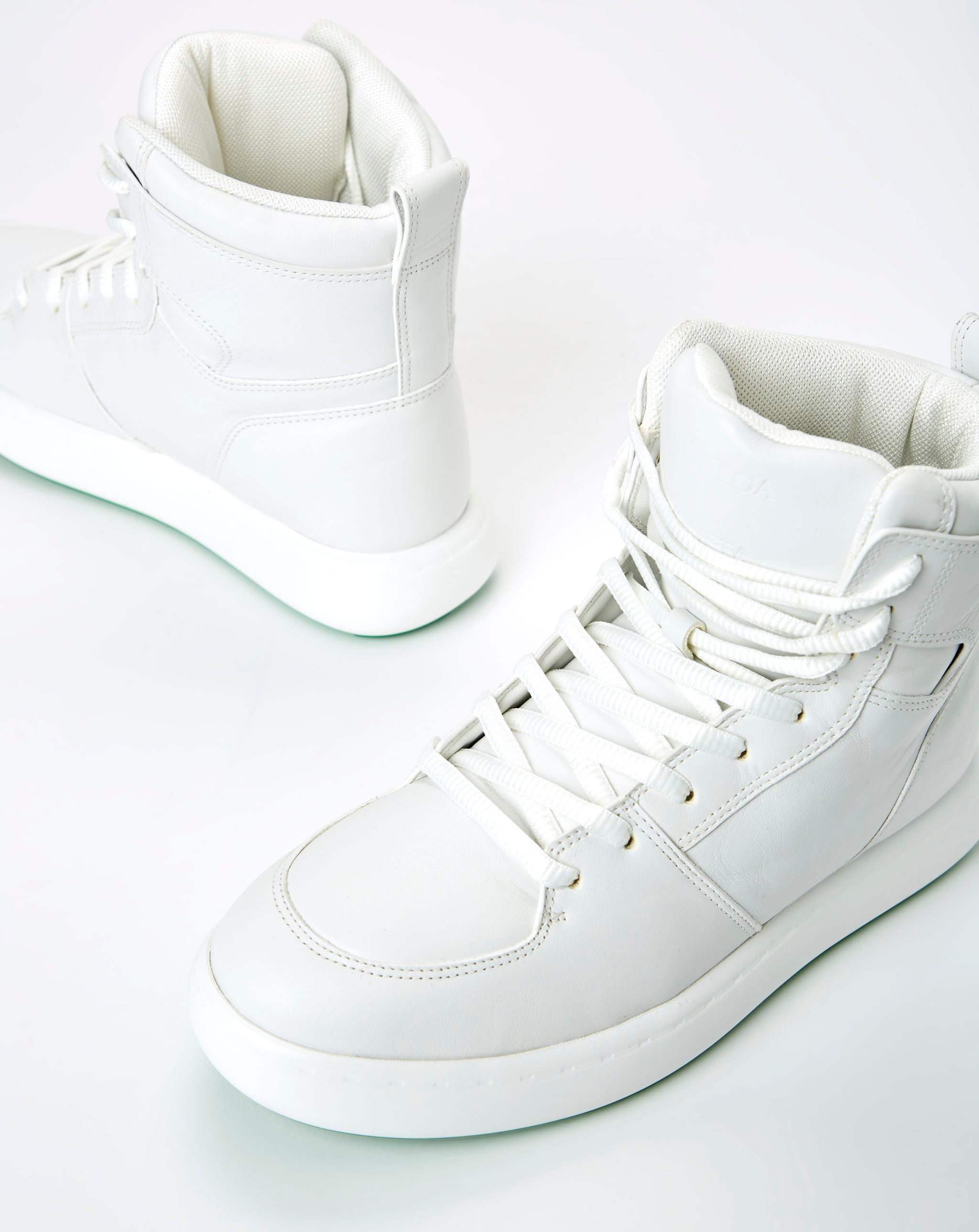 Sneaker Leather
