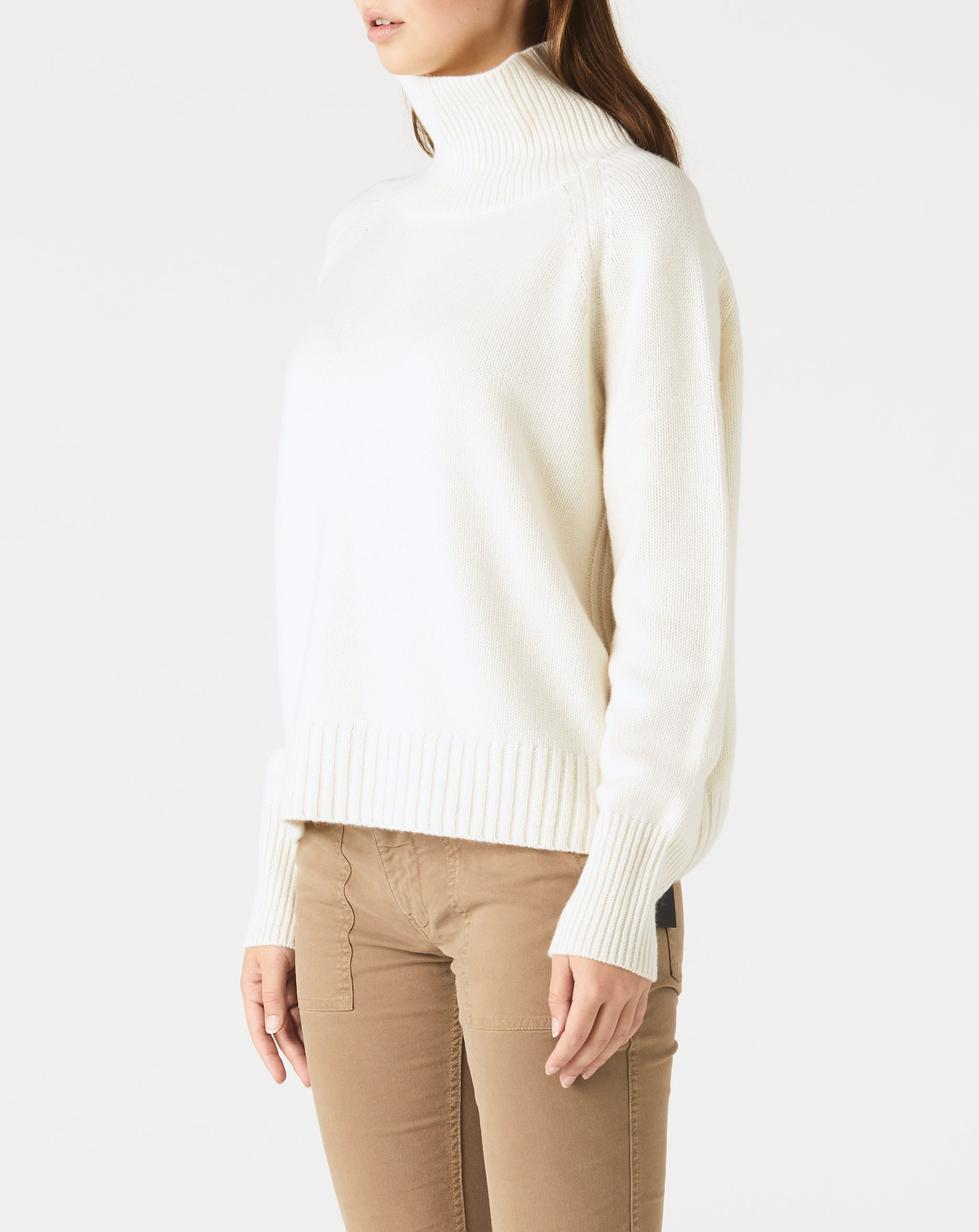Lanie Turtleneck