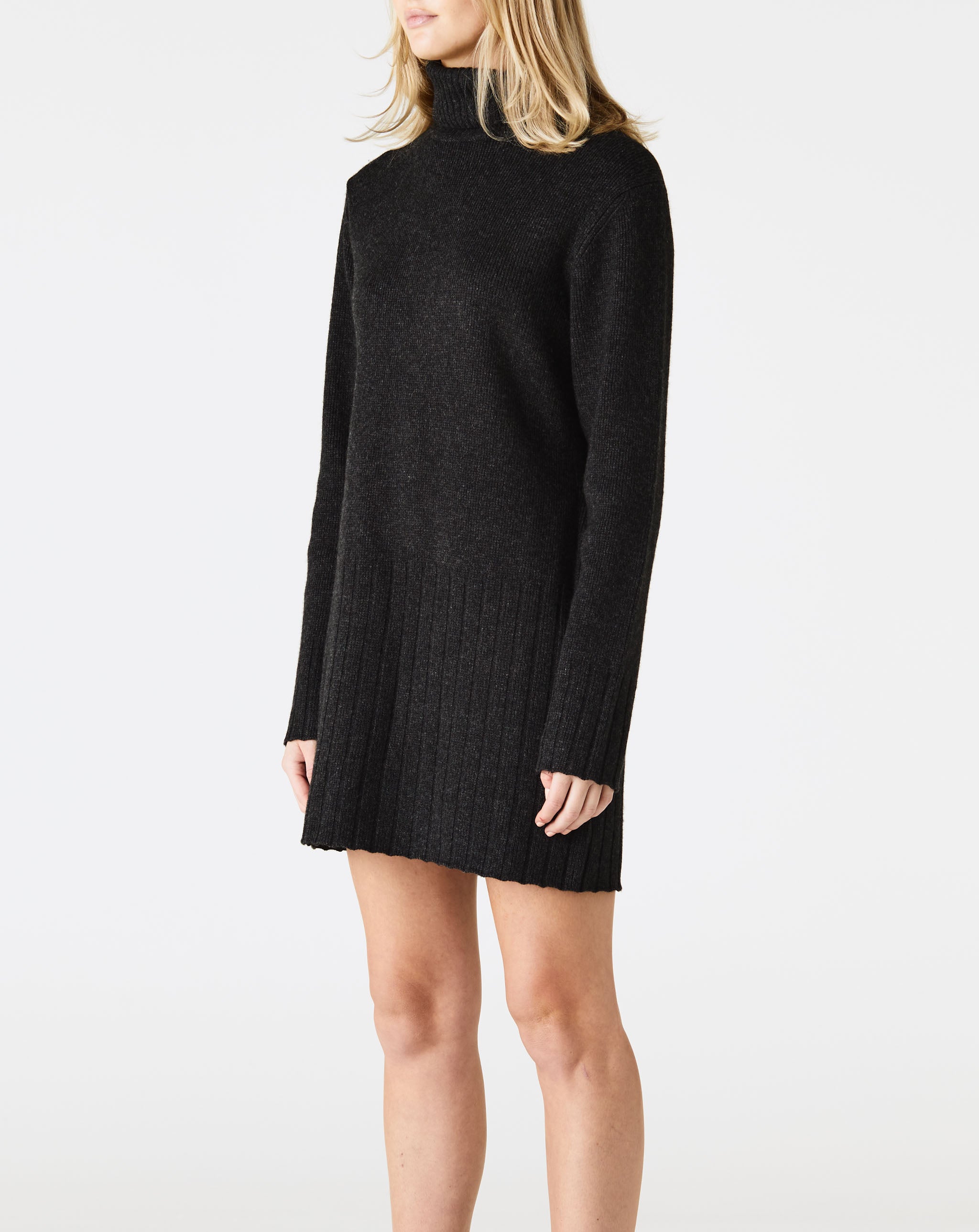 Everet Turtleneck Dress