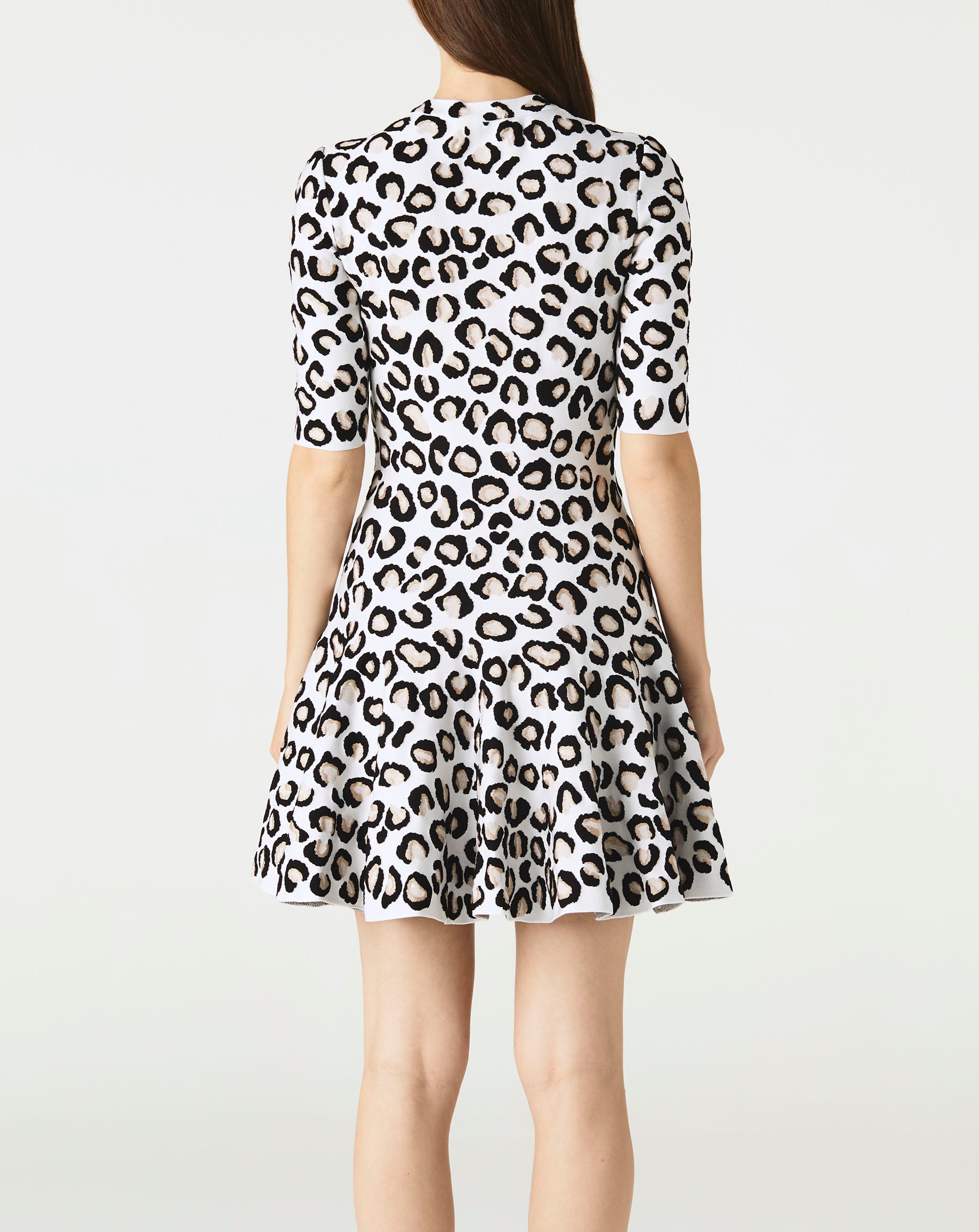 Leopard Skater Dress