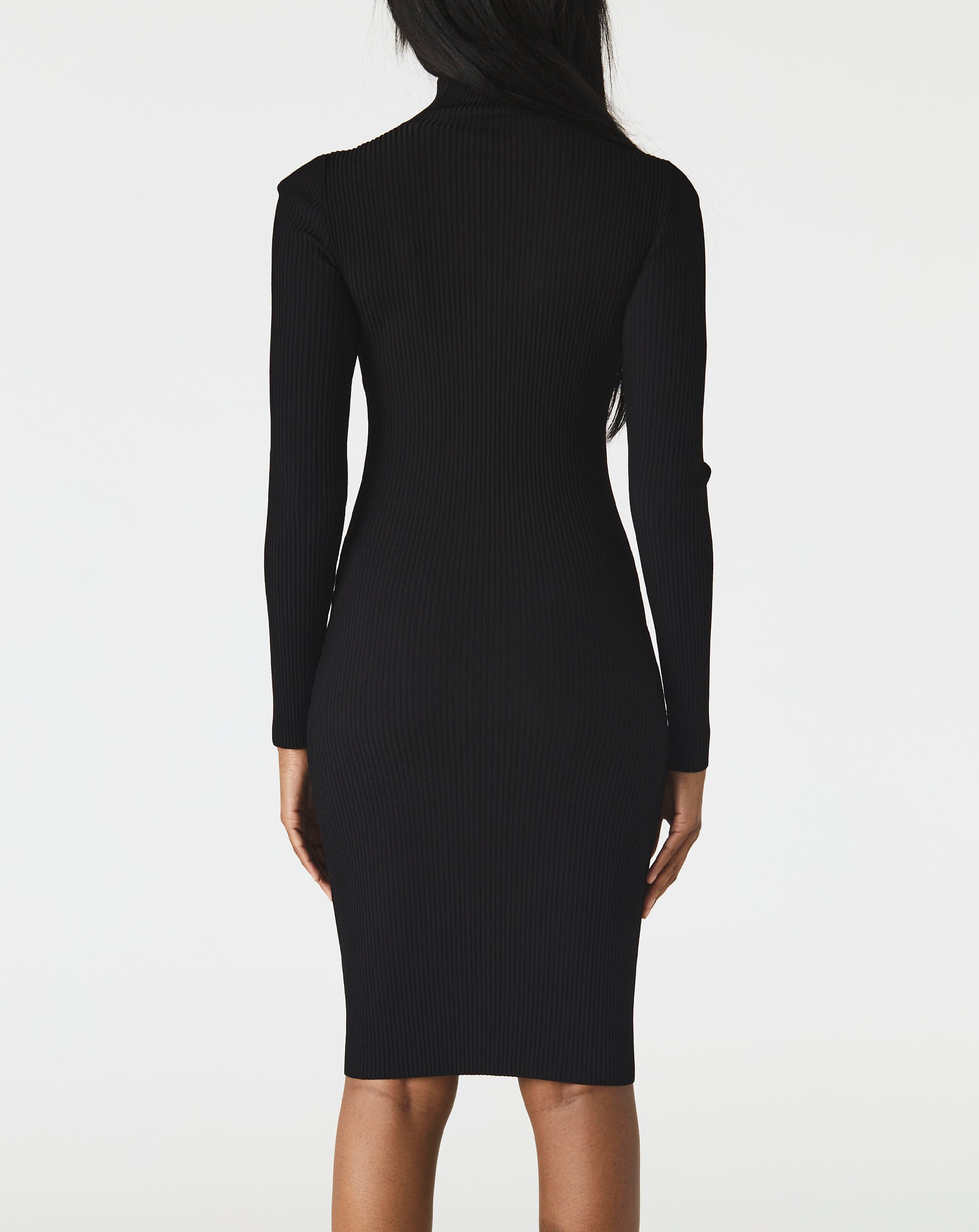 Ribbed Turtleneck Dress
