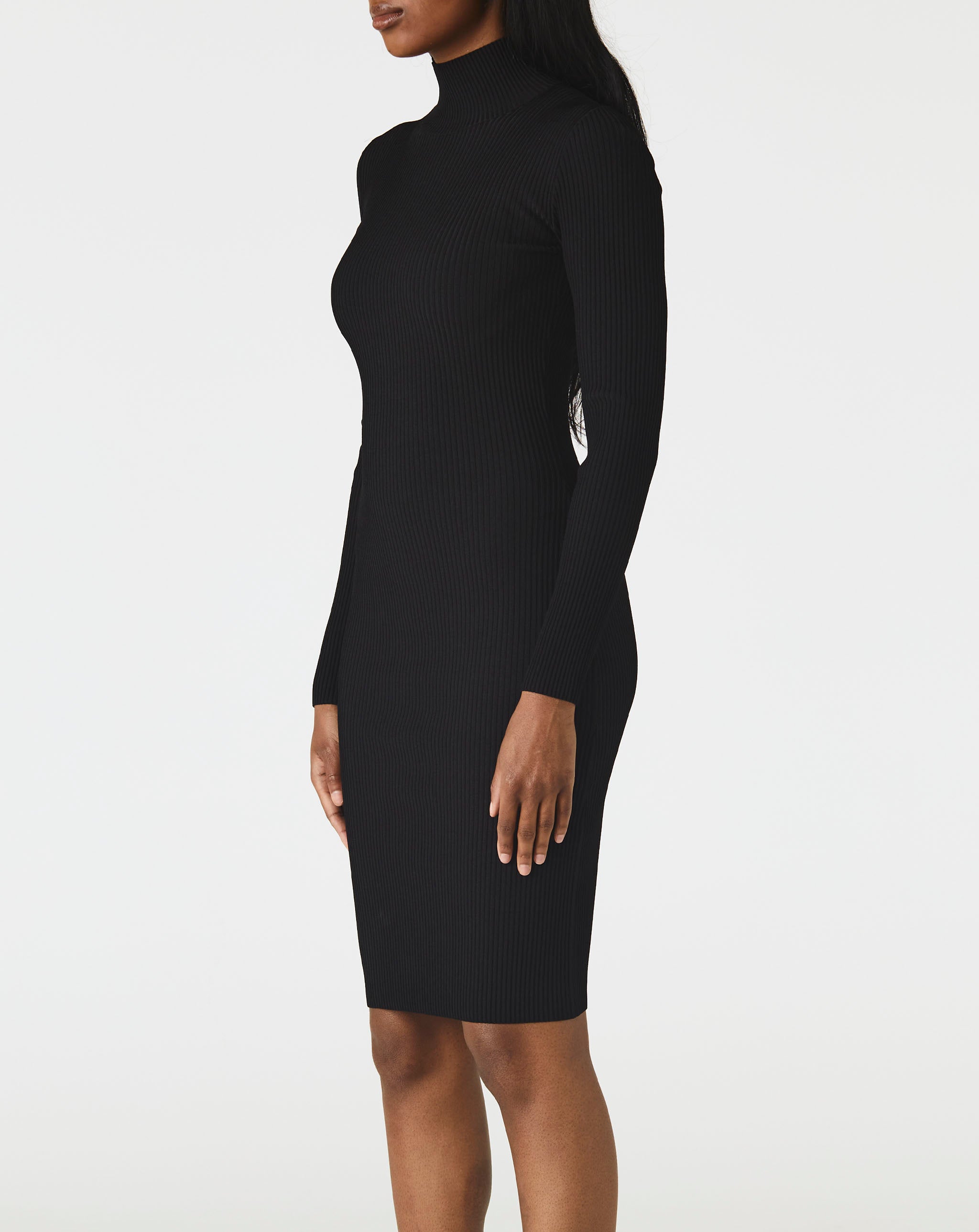 Ribbed Turtleneck Dress
