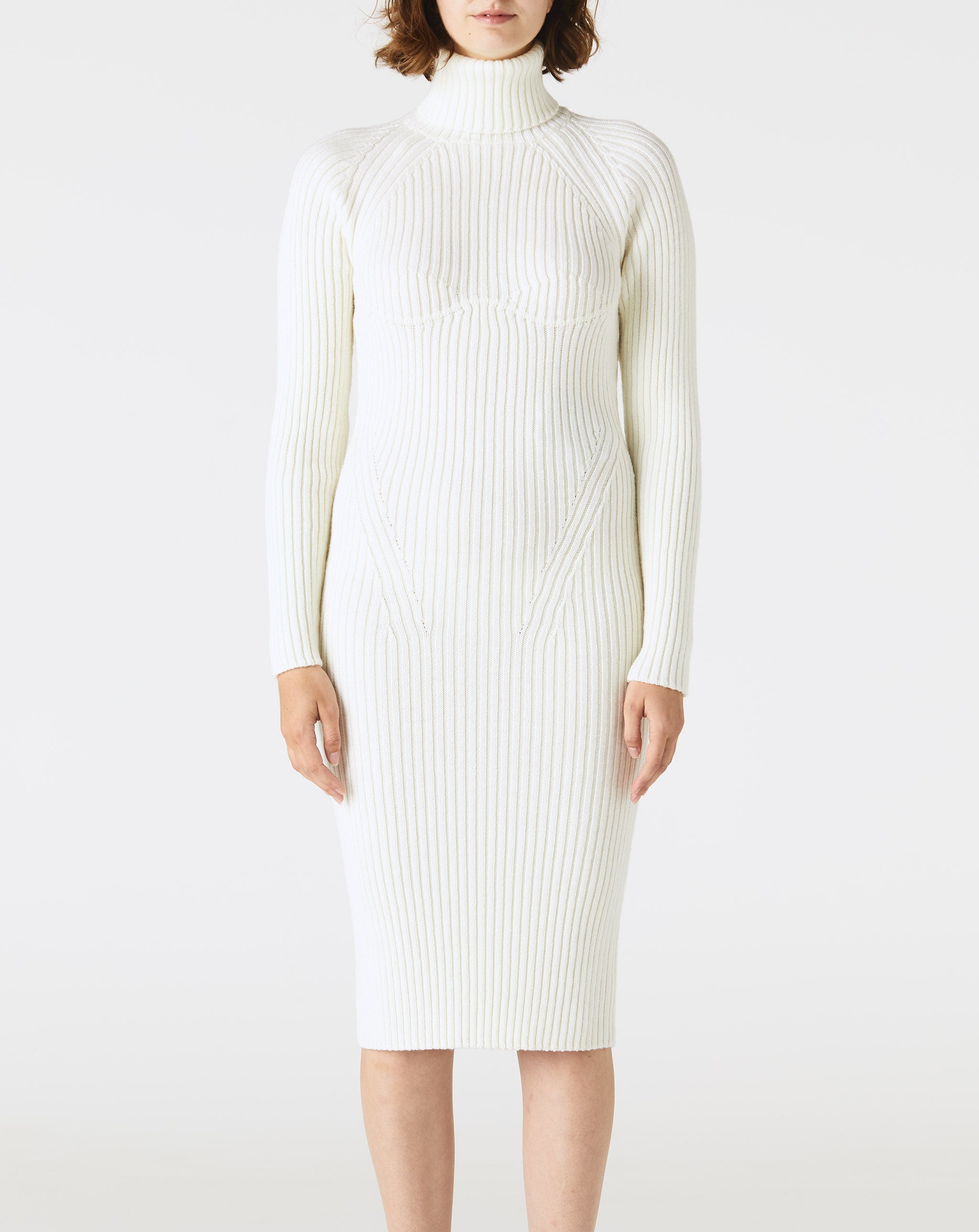 Long Sleeve Wool Rib Turtleneck Dress