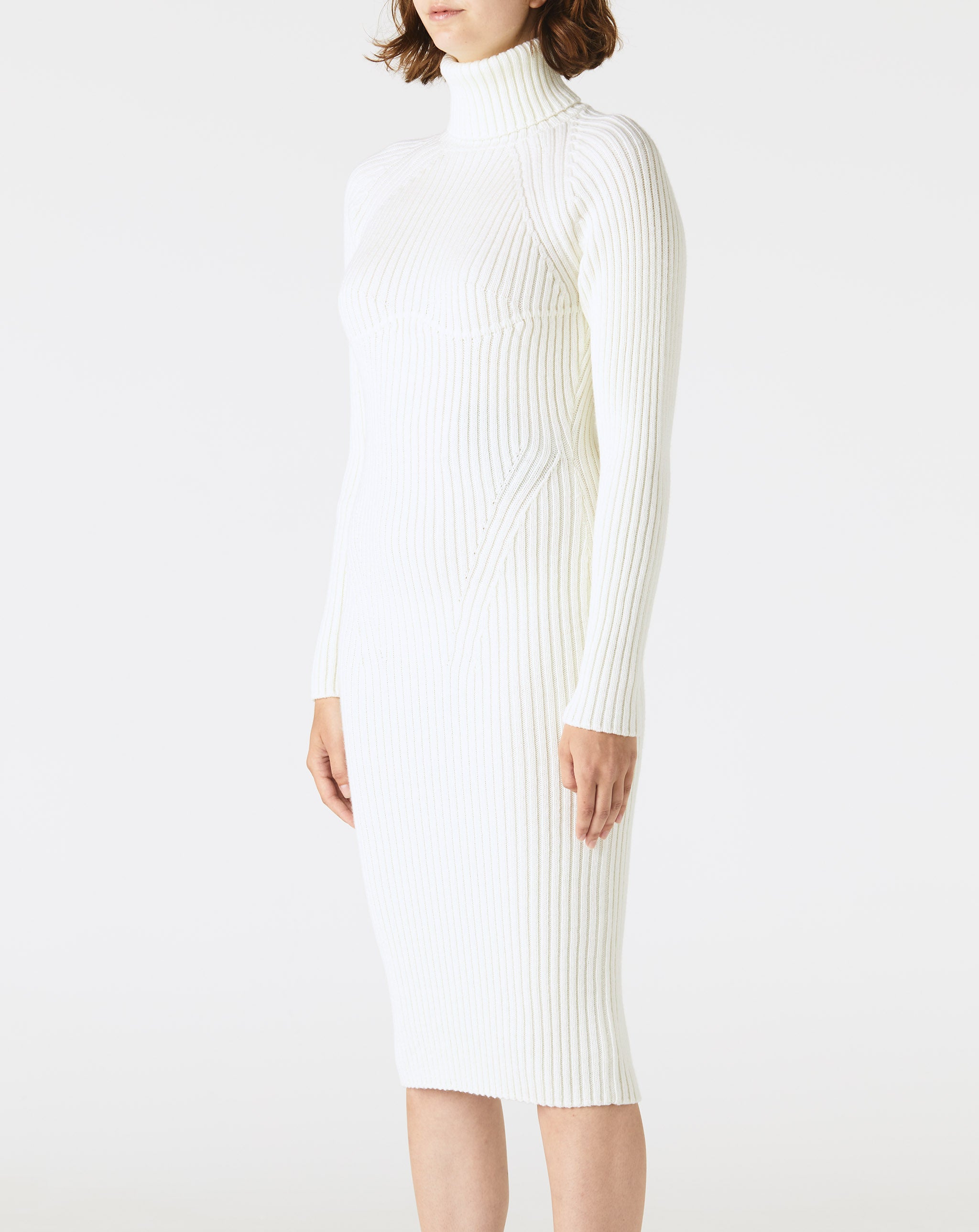 Long Sleeve Wool Rib Turtleneck Dress