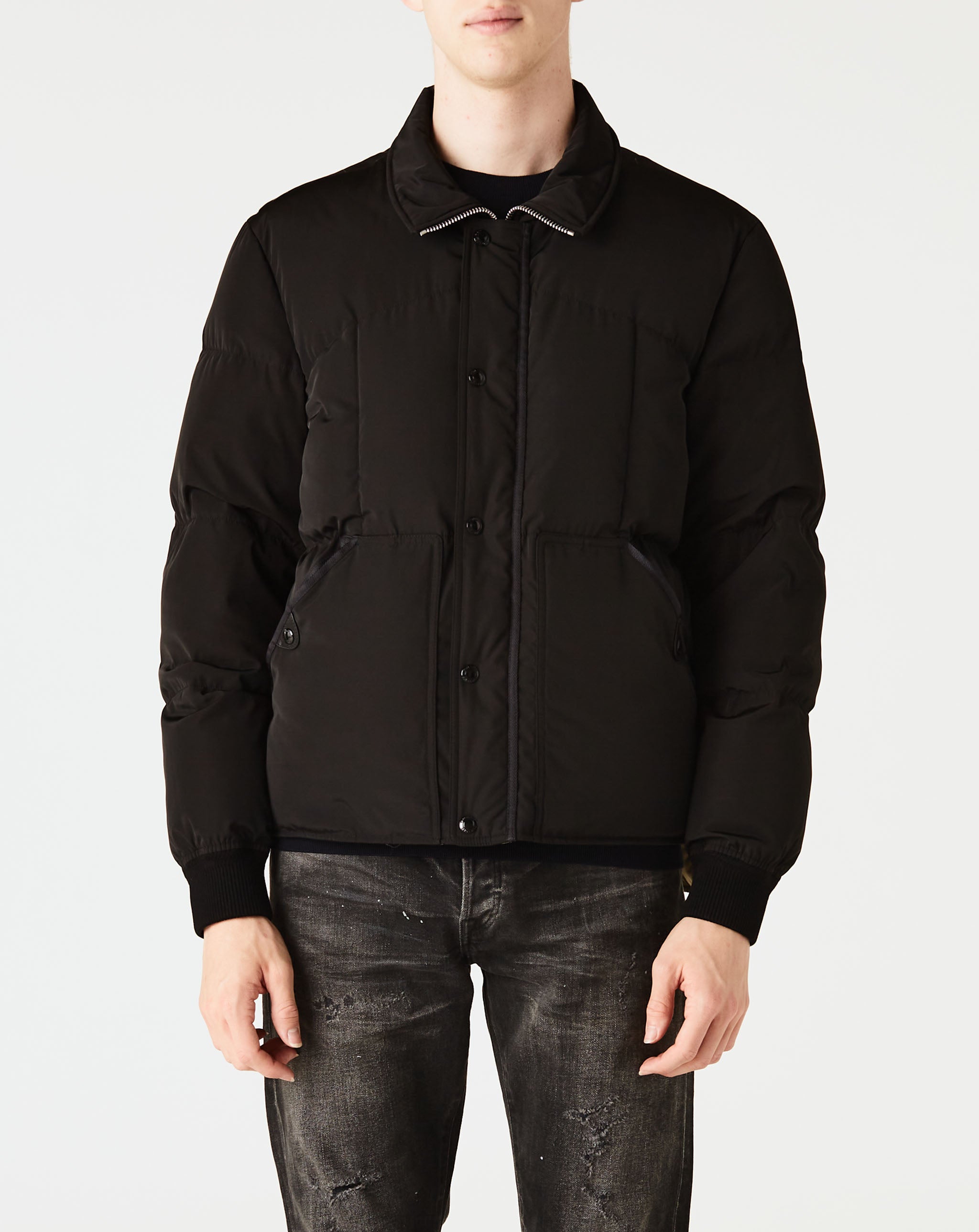 Short Puffer