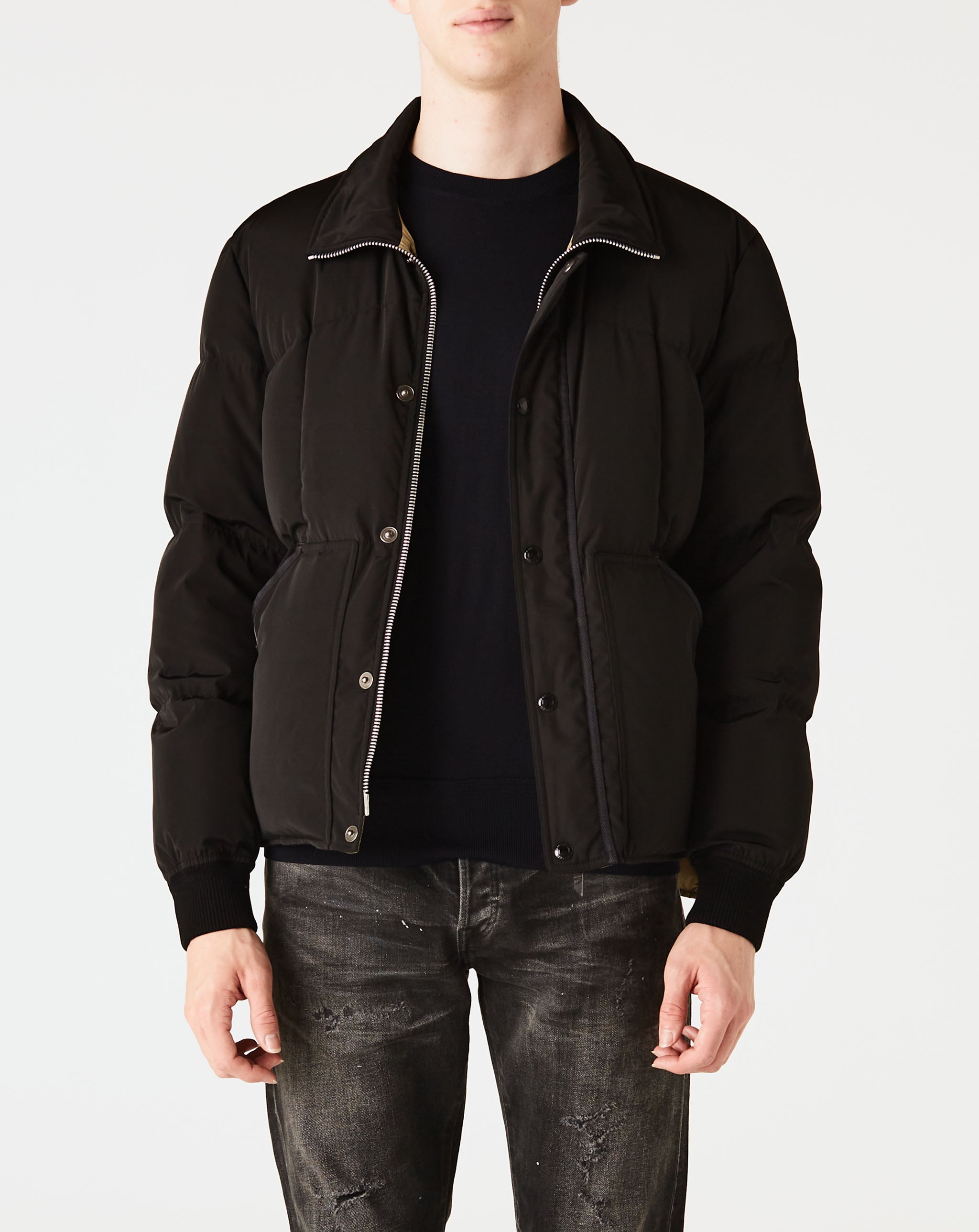 Short Puffer