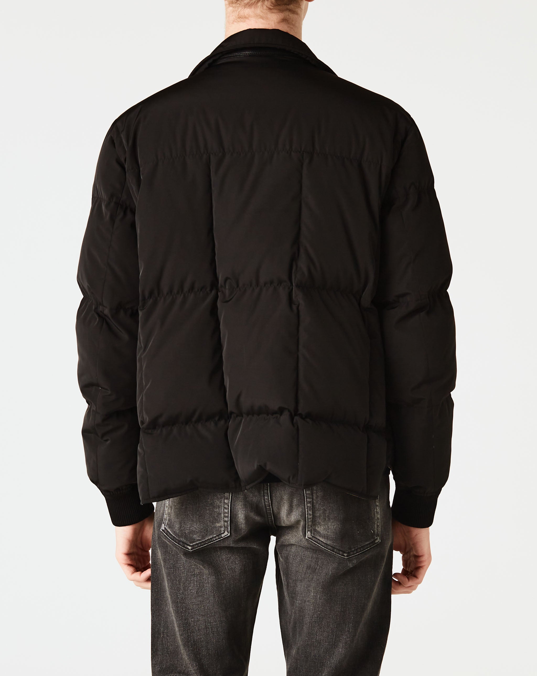 Short Puffer