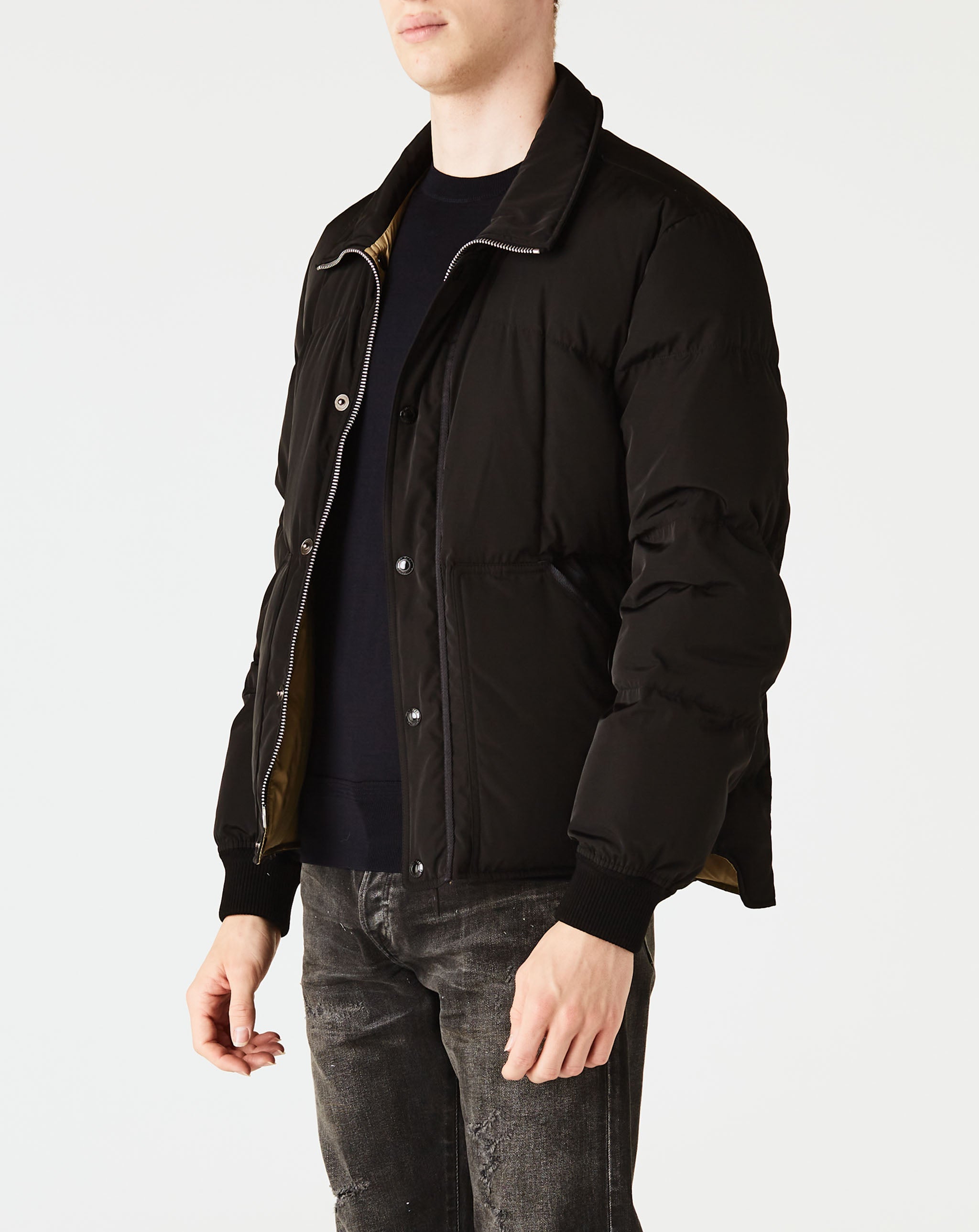 Short Puffer