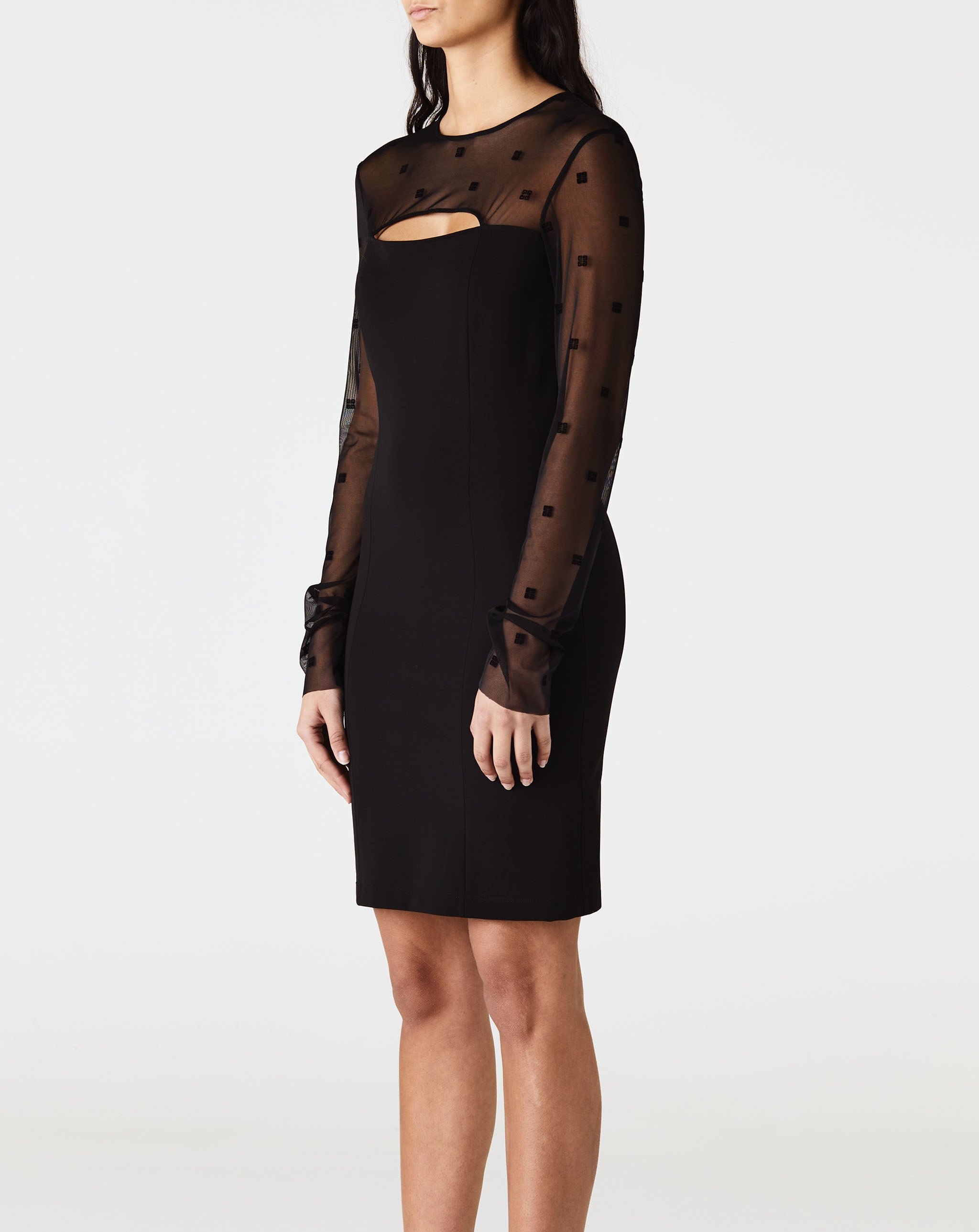 Long Sleeve Sheer Cut Out Dress