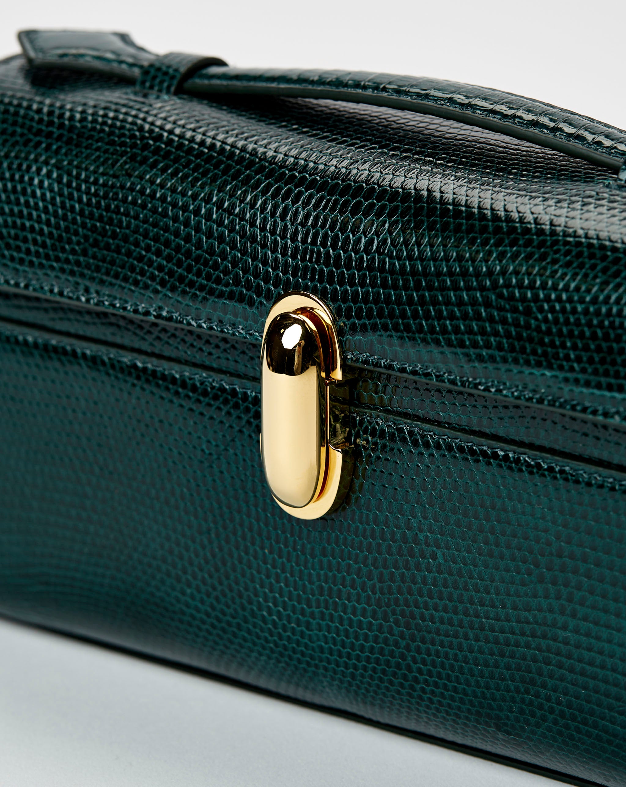 Symmetry Pochette in Forest Lizard
